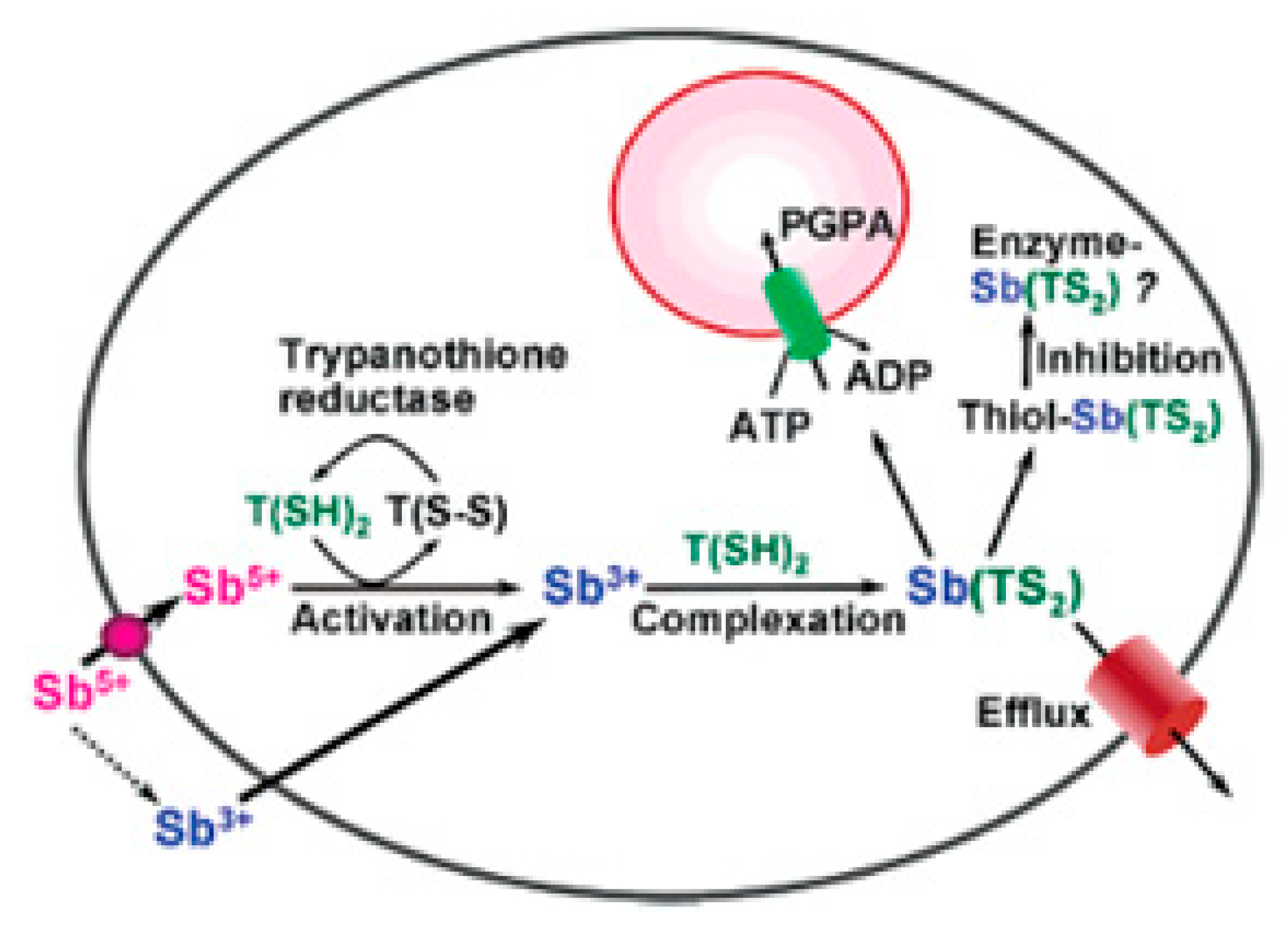 Molecules 25 00305 g009