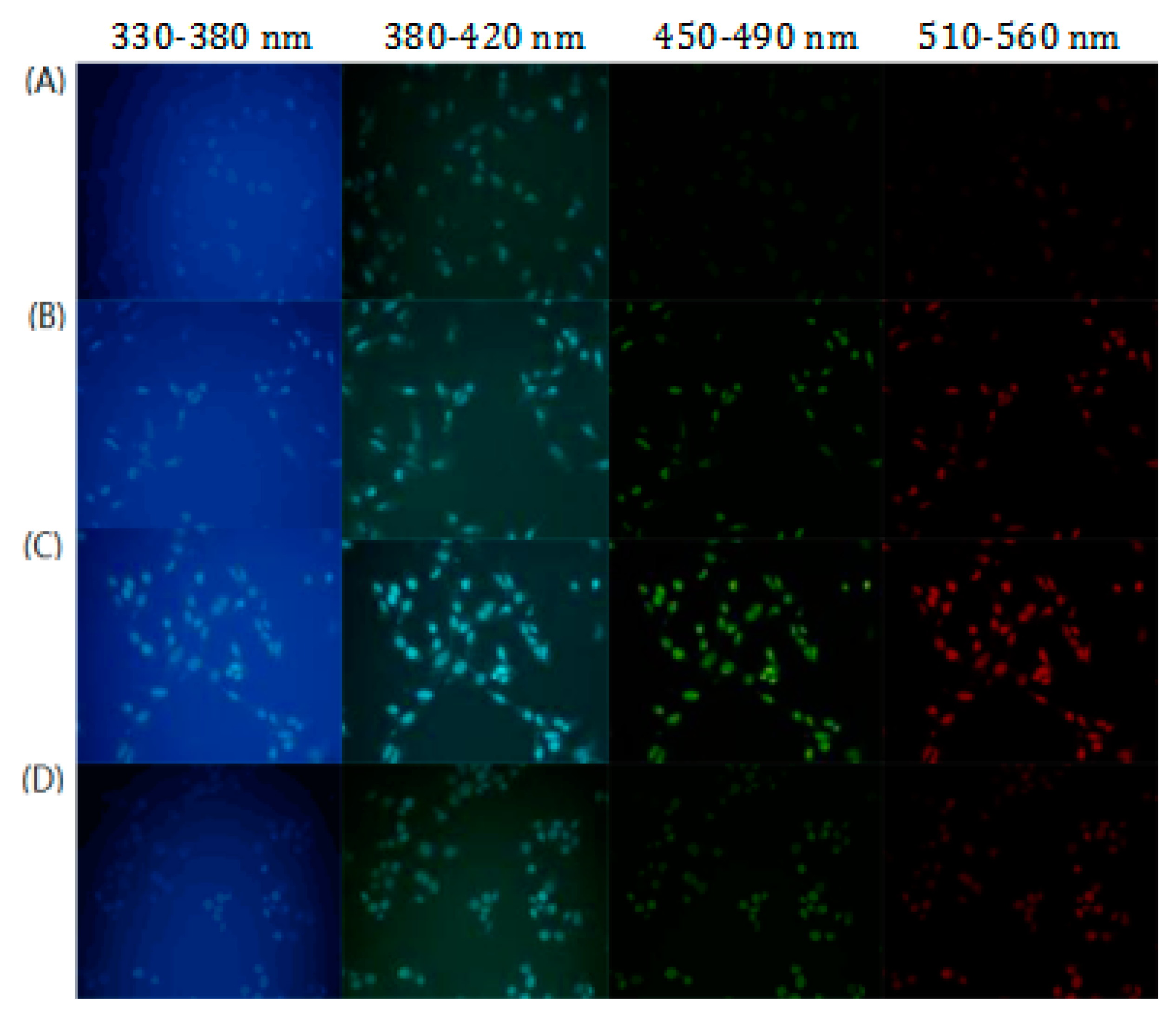 Molecules 25 00306 g005