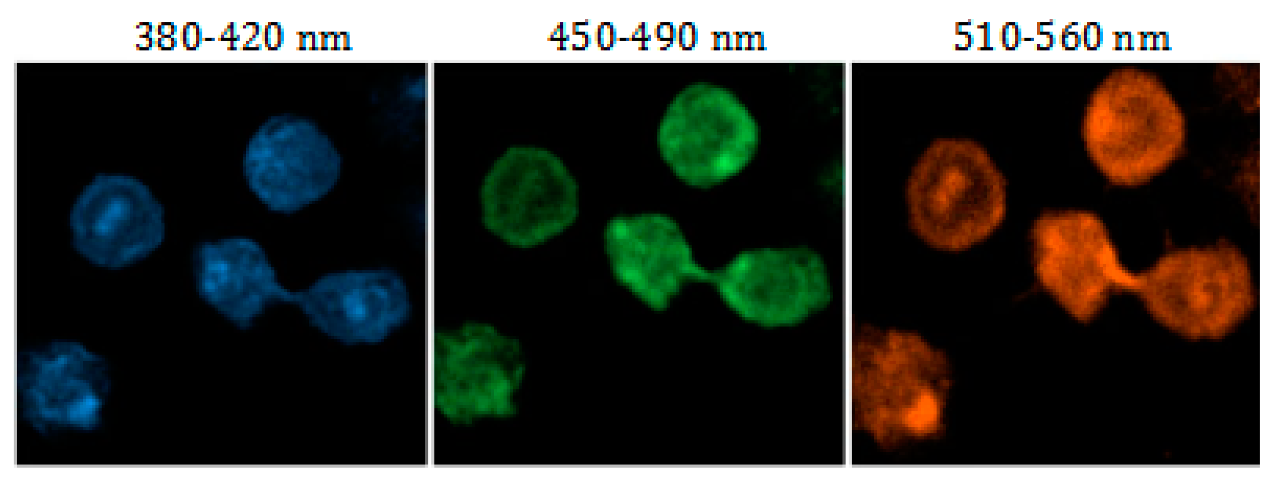 Molecules 25 00306 g006