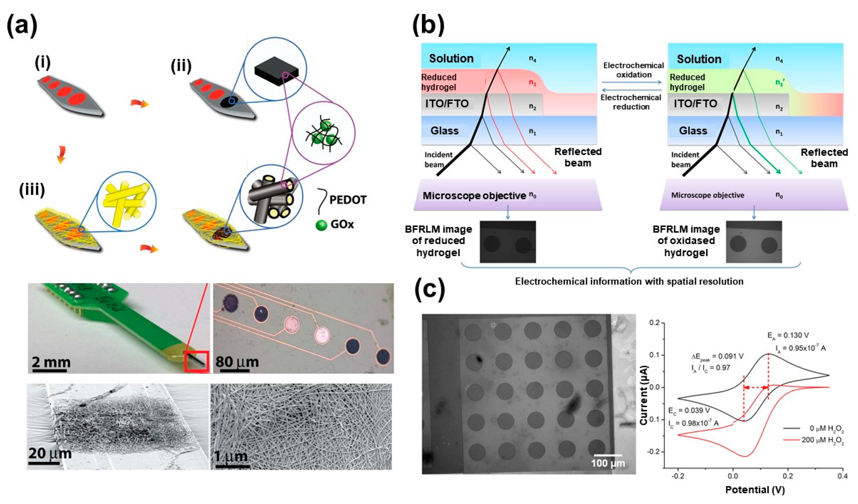 Molecules 25 00307 g001