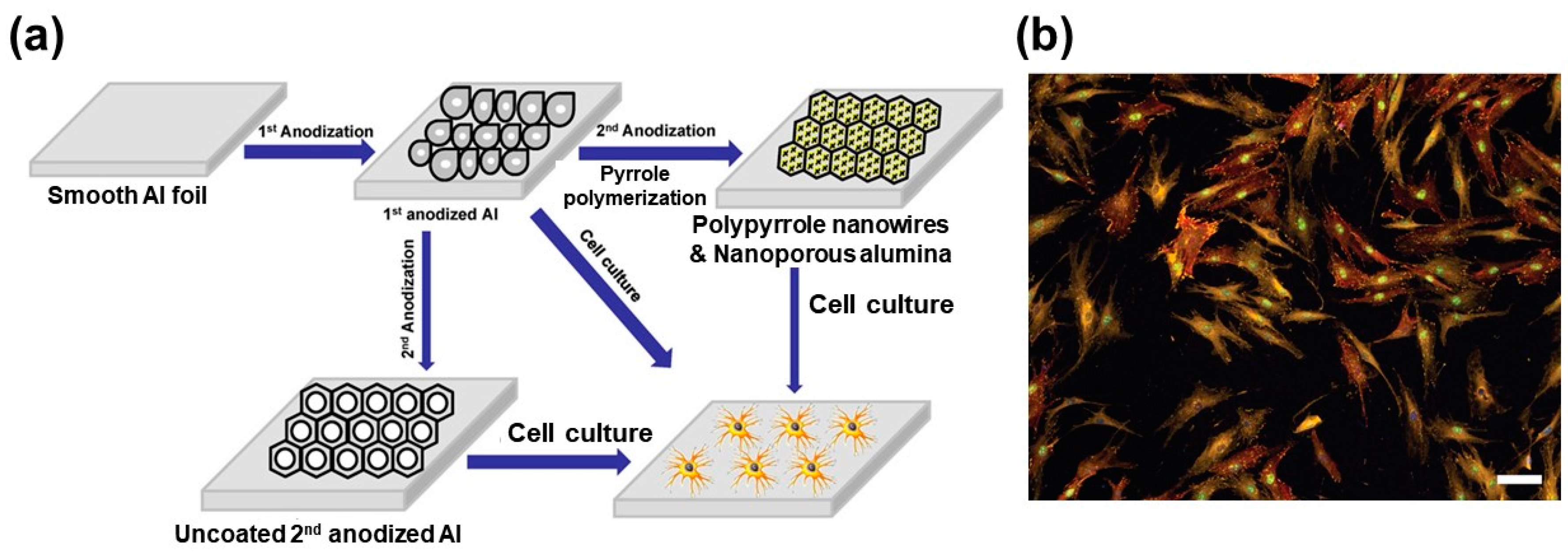 Molecules 25 00307 g002