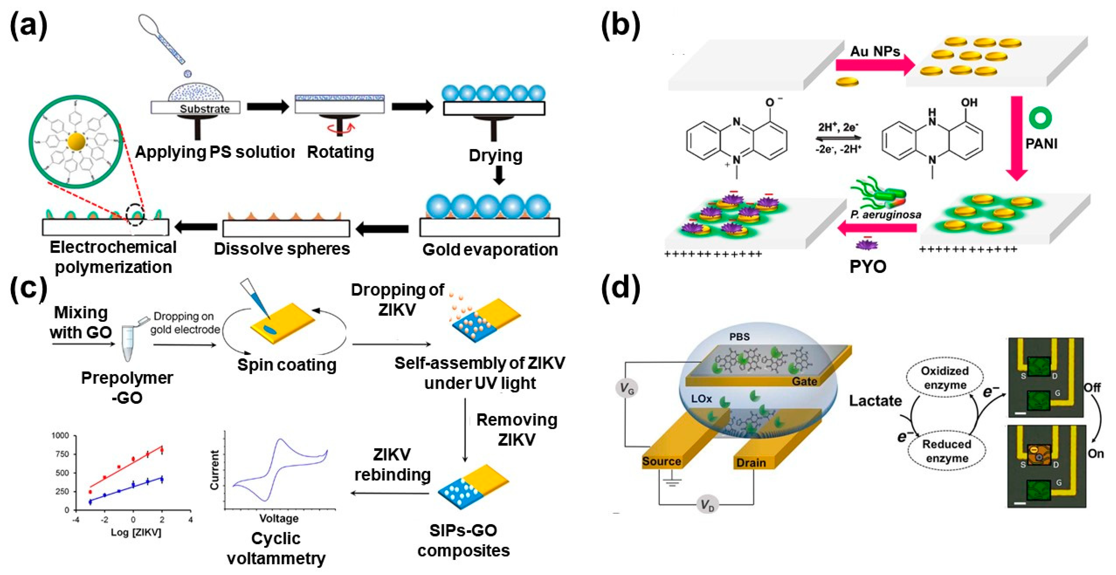 Molecules 25 00307 g003