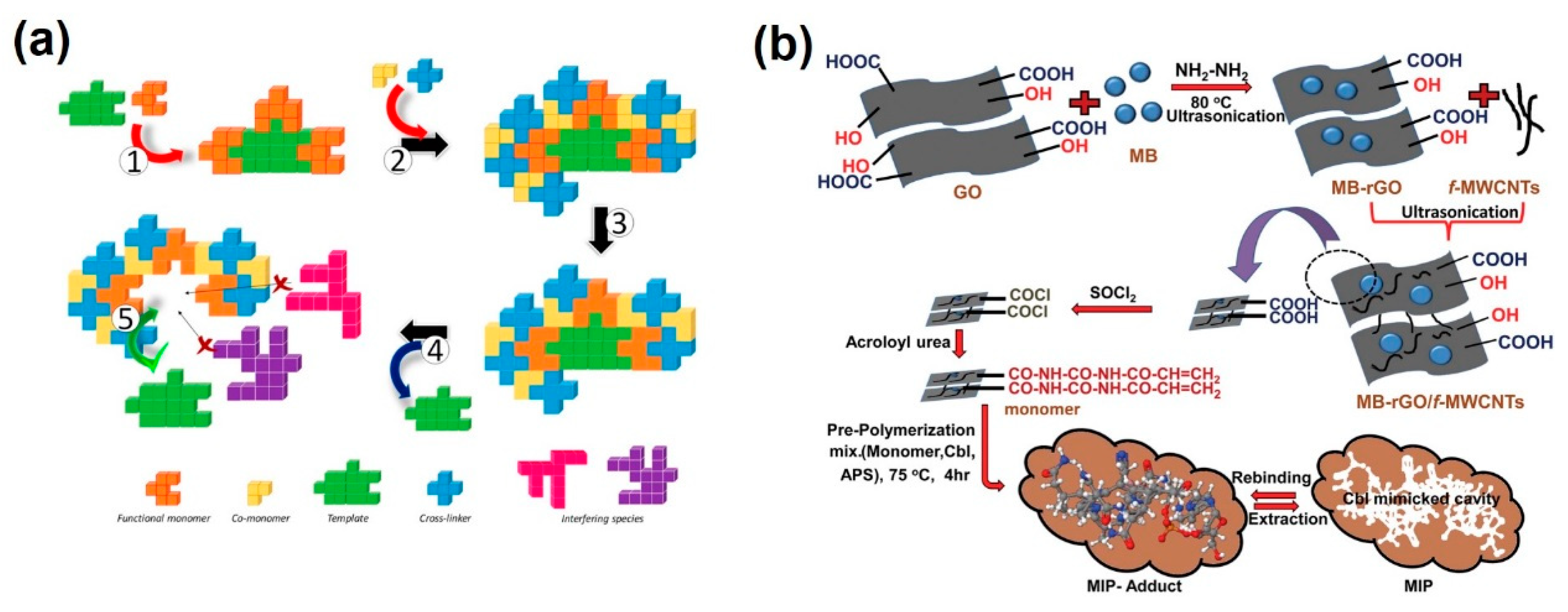 Molecules 25 00307 g004