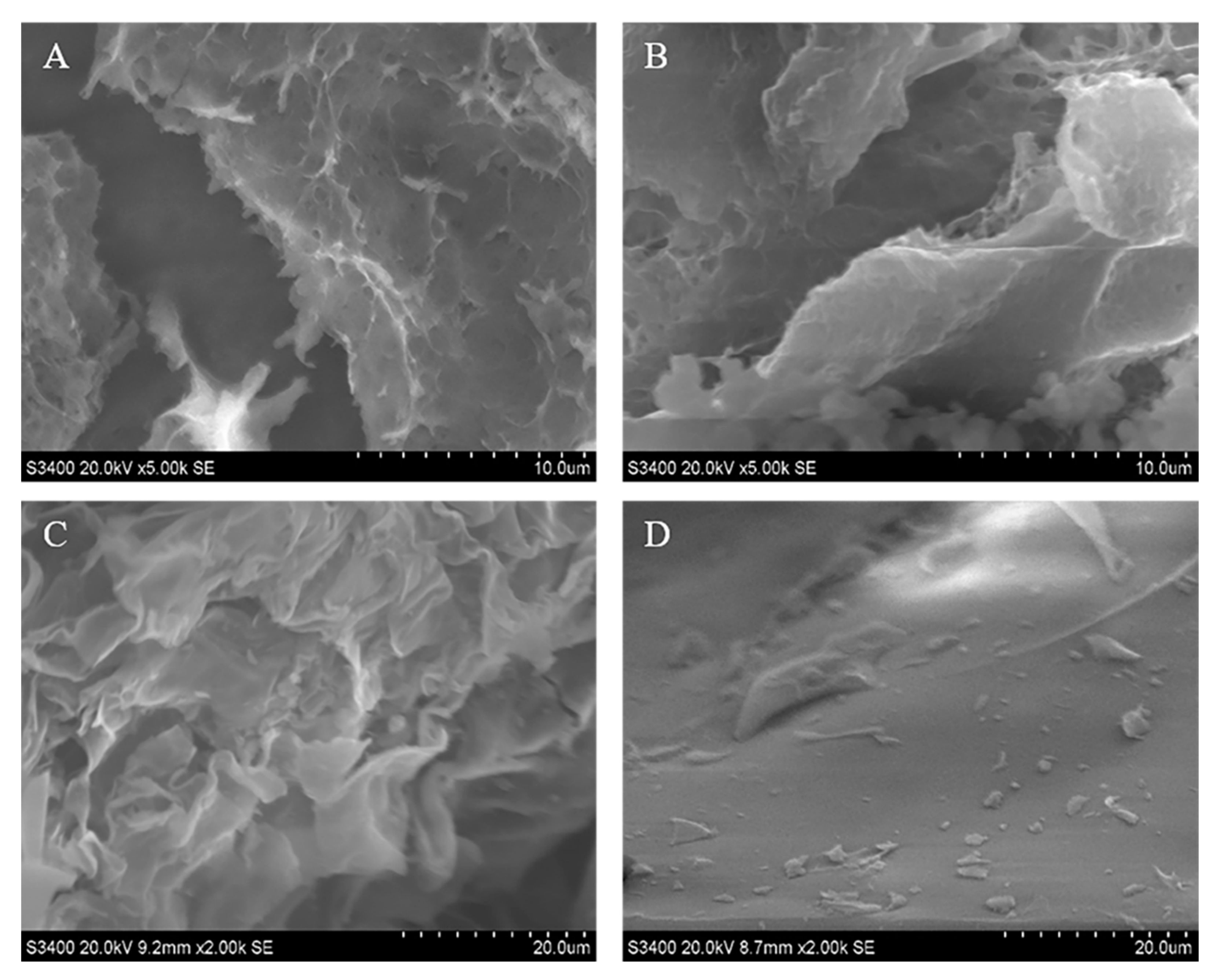 Molecules 25 00312 g002 Molecules 25 00312 g002