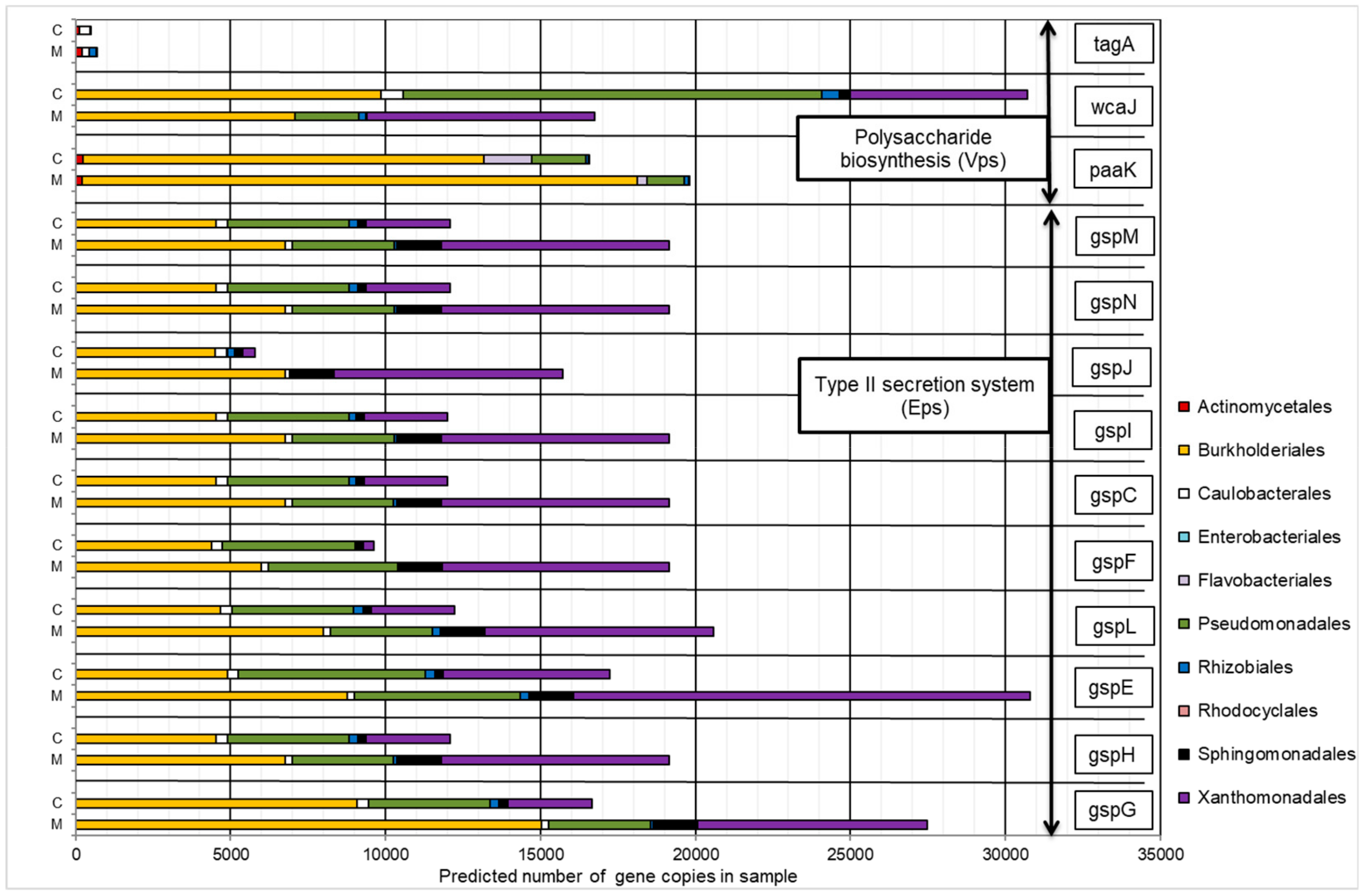 Molecules 25 00319 g006