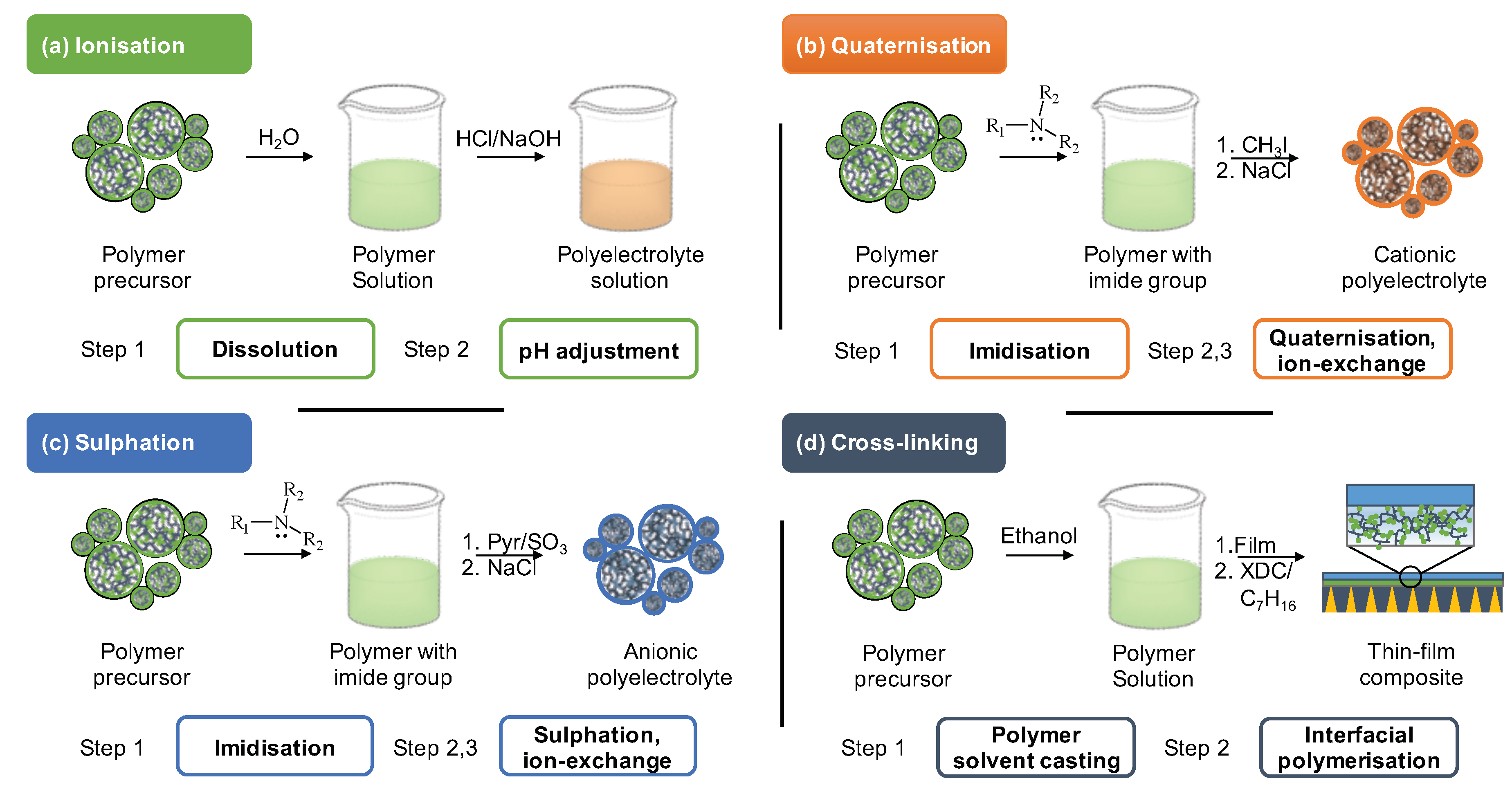 Molecules 25 00323 g005
