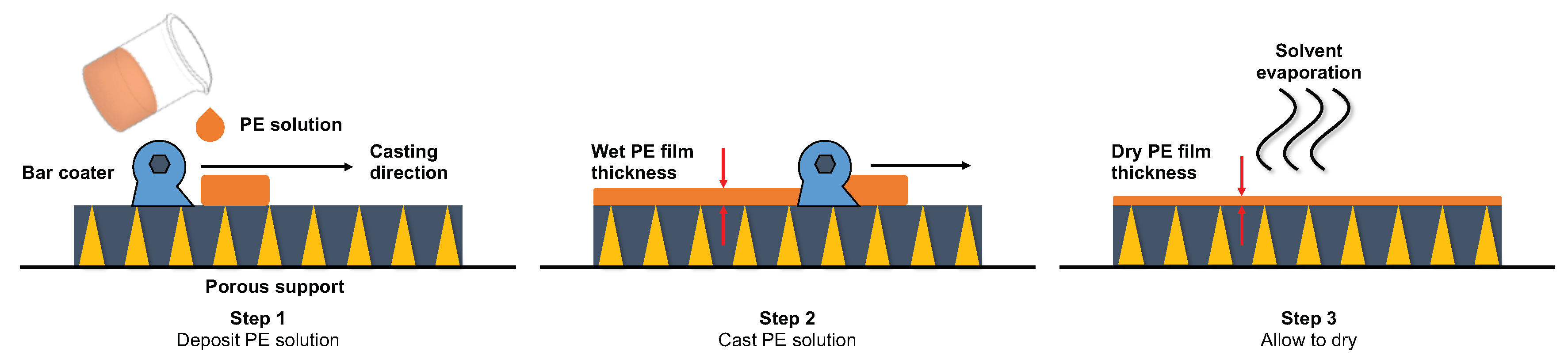 Molecules 25 00323 g006