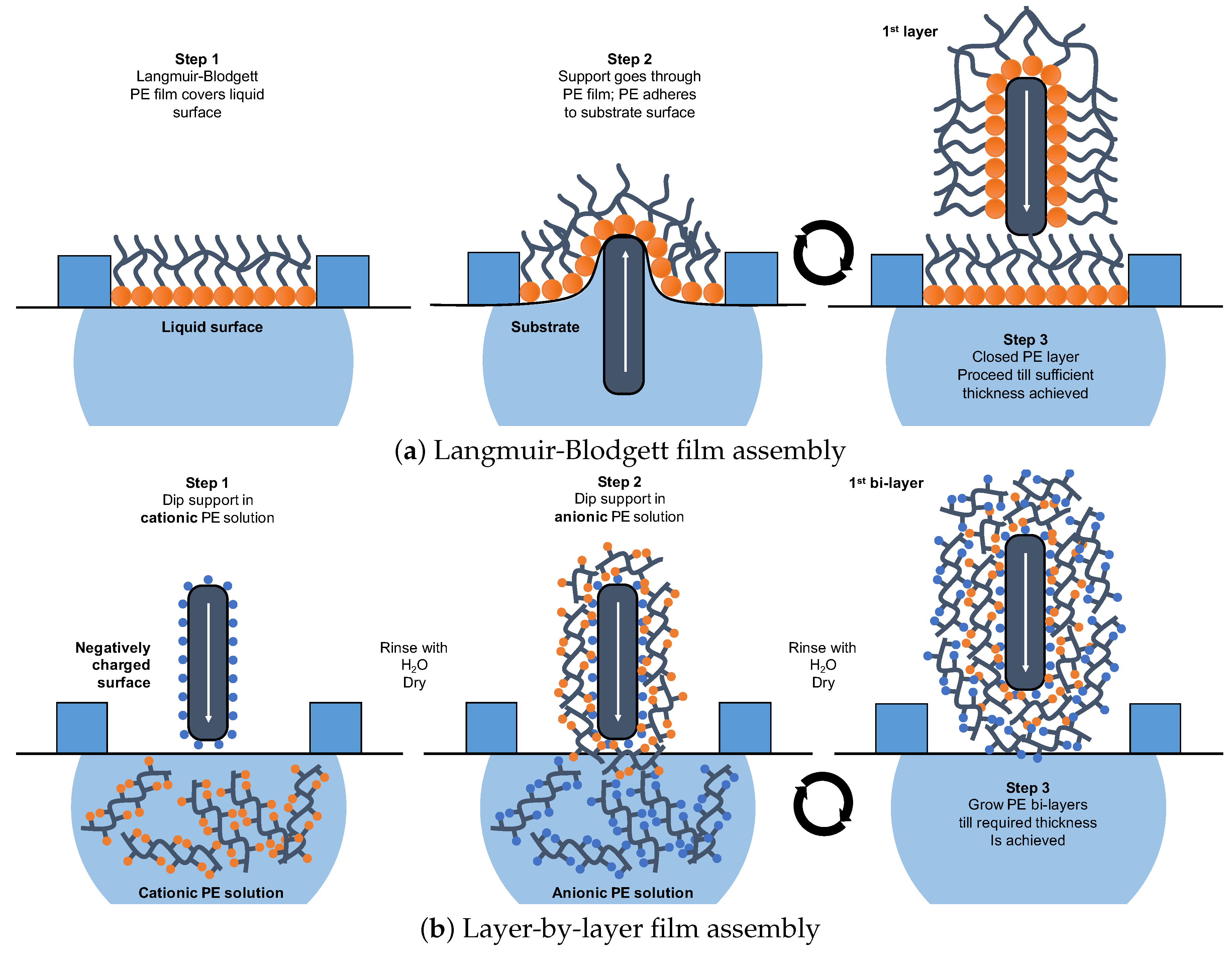 Molecules 25 00323 g007