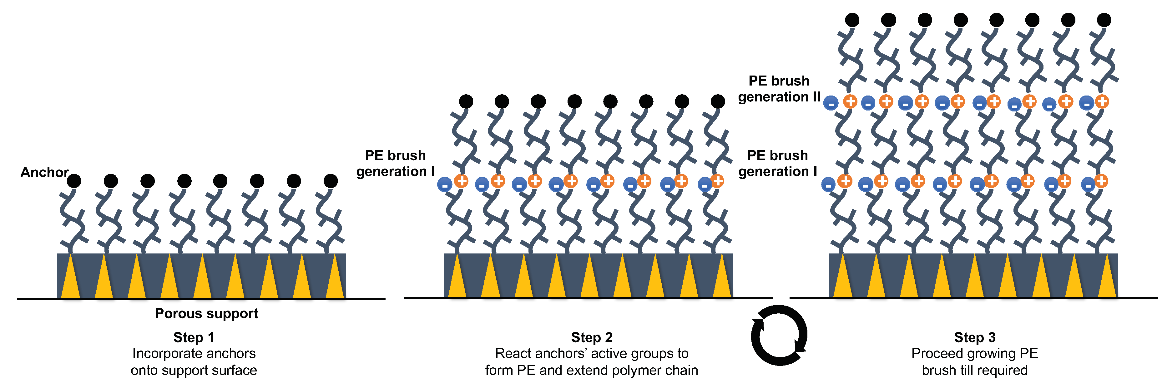 Molecules 25 00323 g008