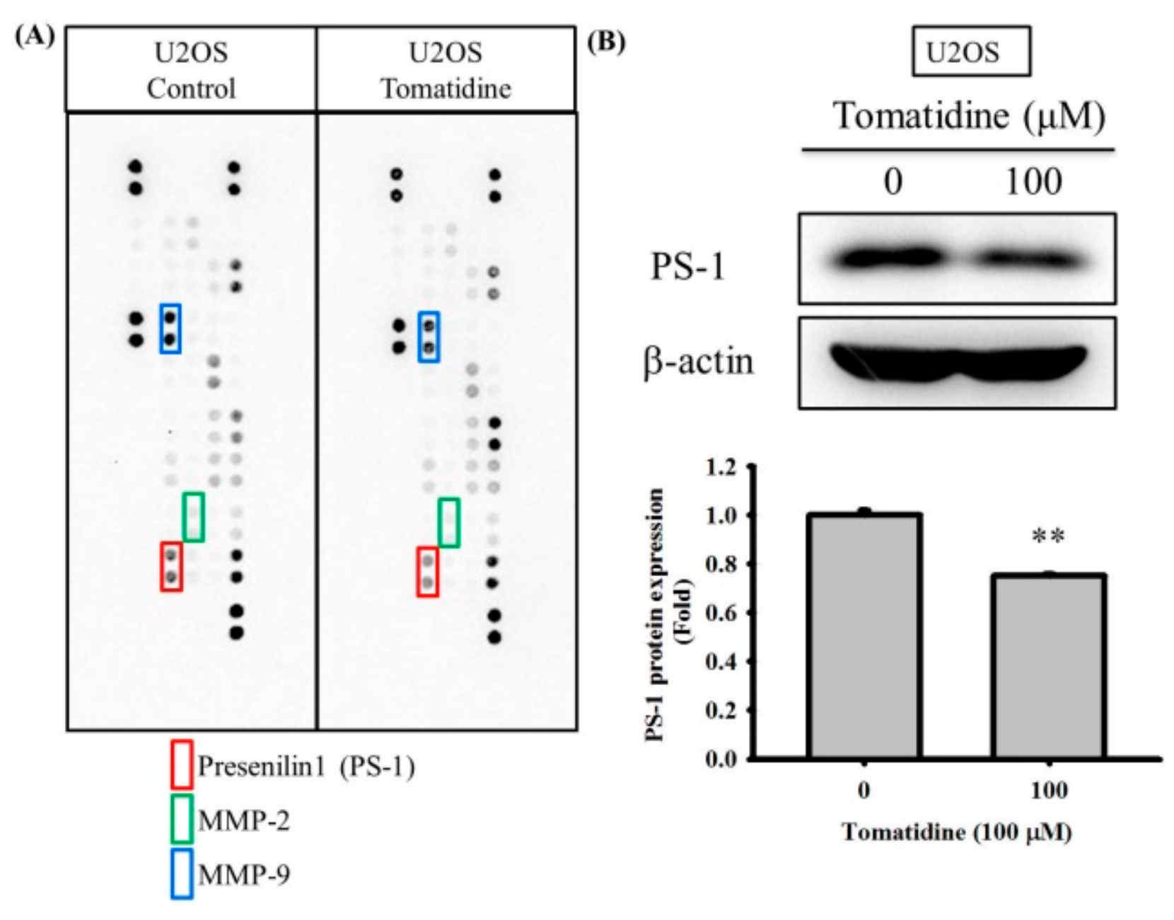Molecules 25 00326 g003