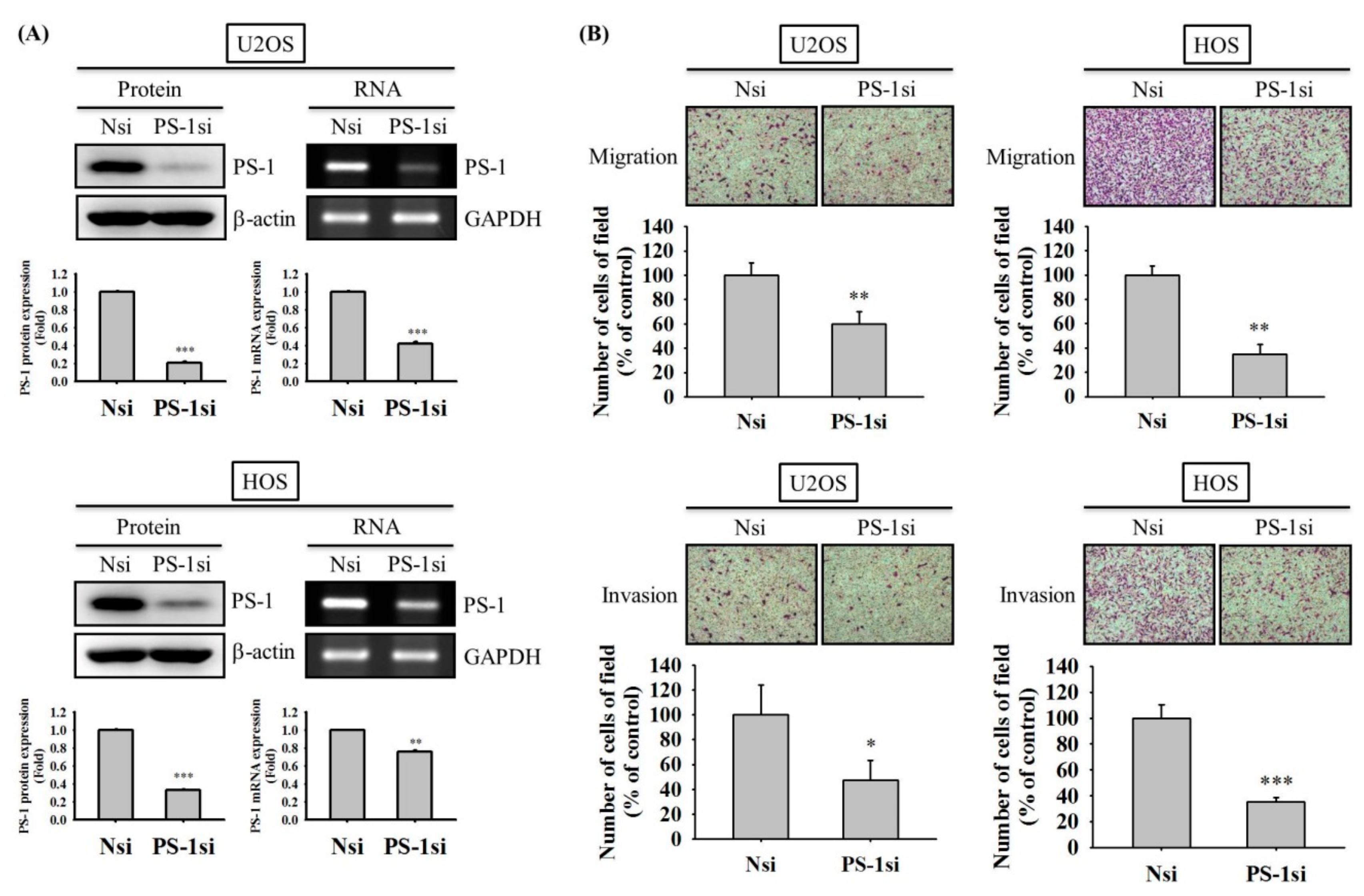 Molecules 25 00326 g004