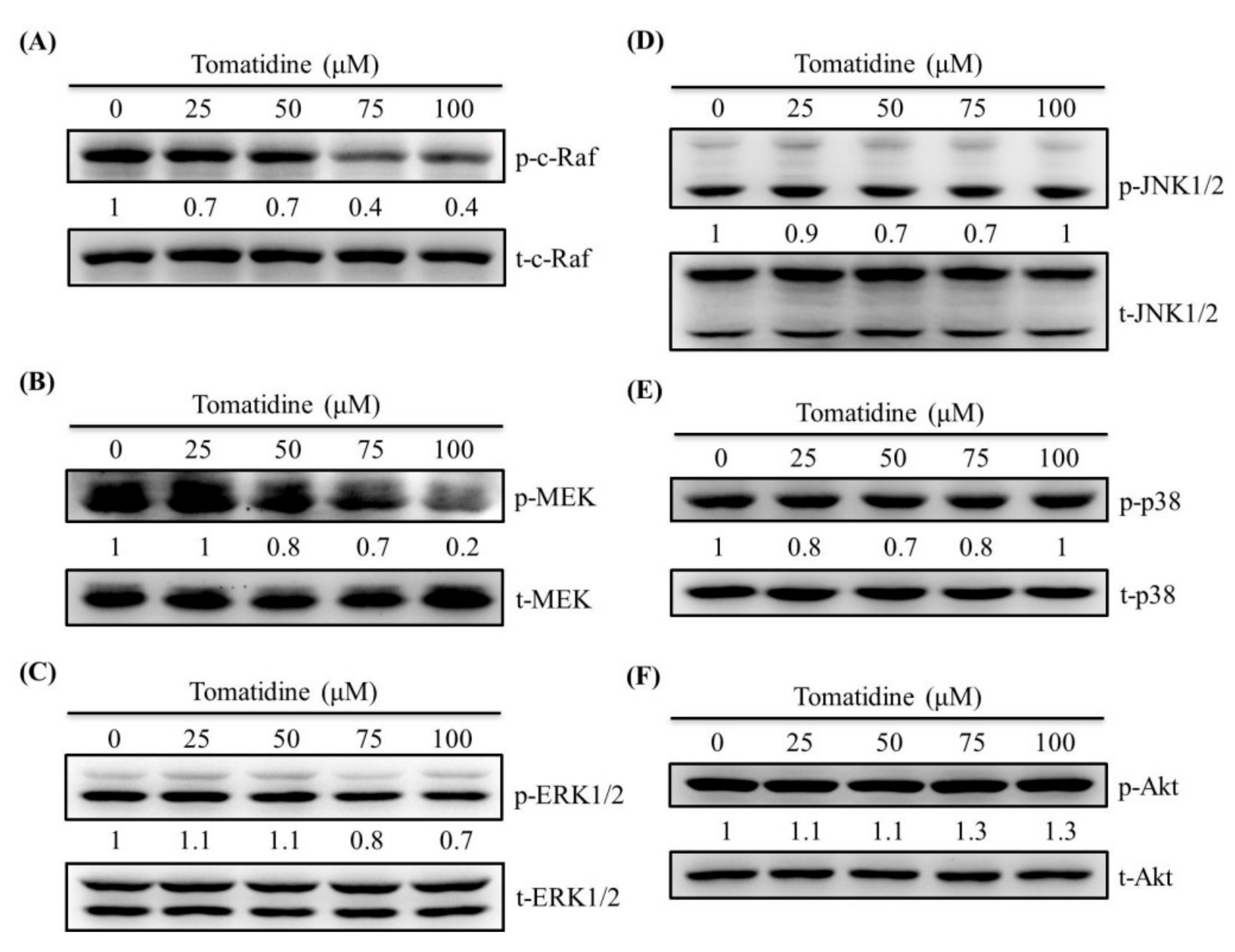 Molecules 25 00326 g005