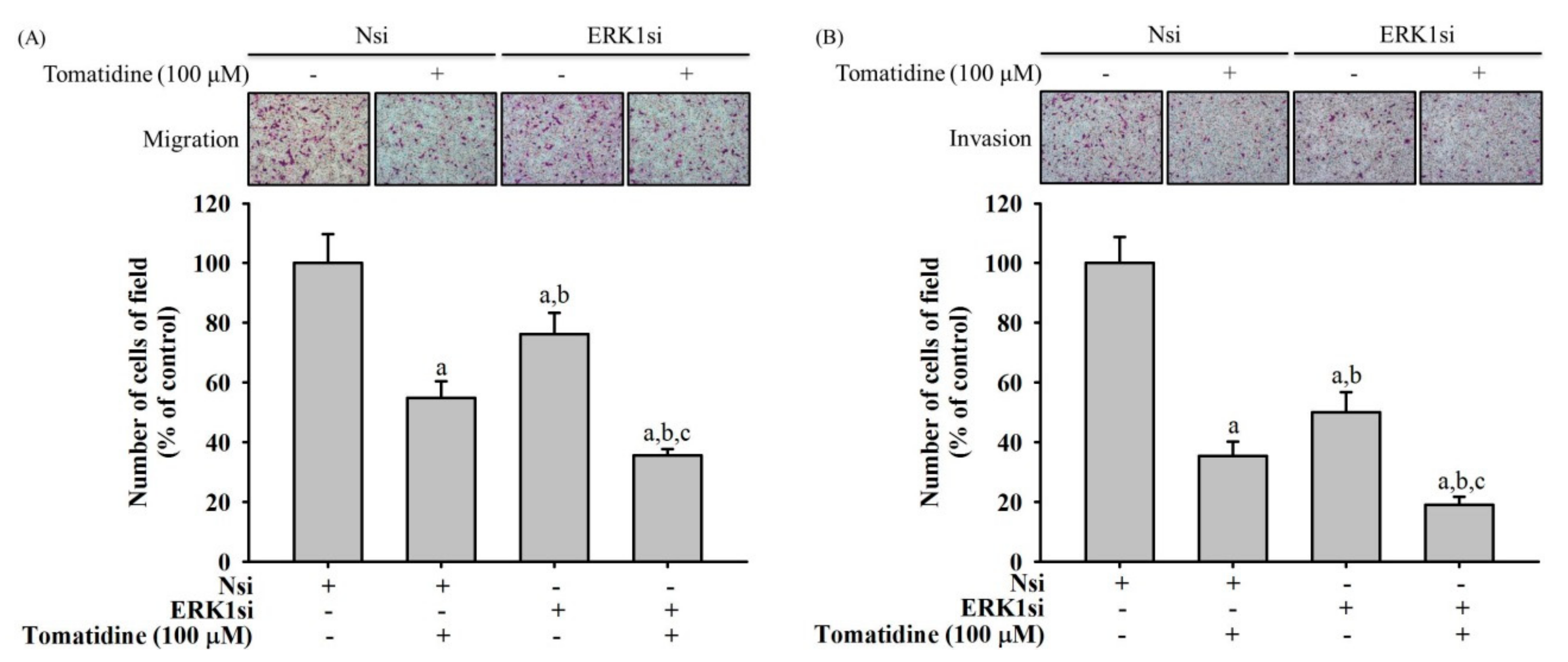 Molecules 25 00326 g006
