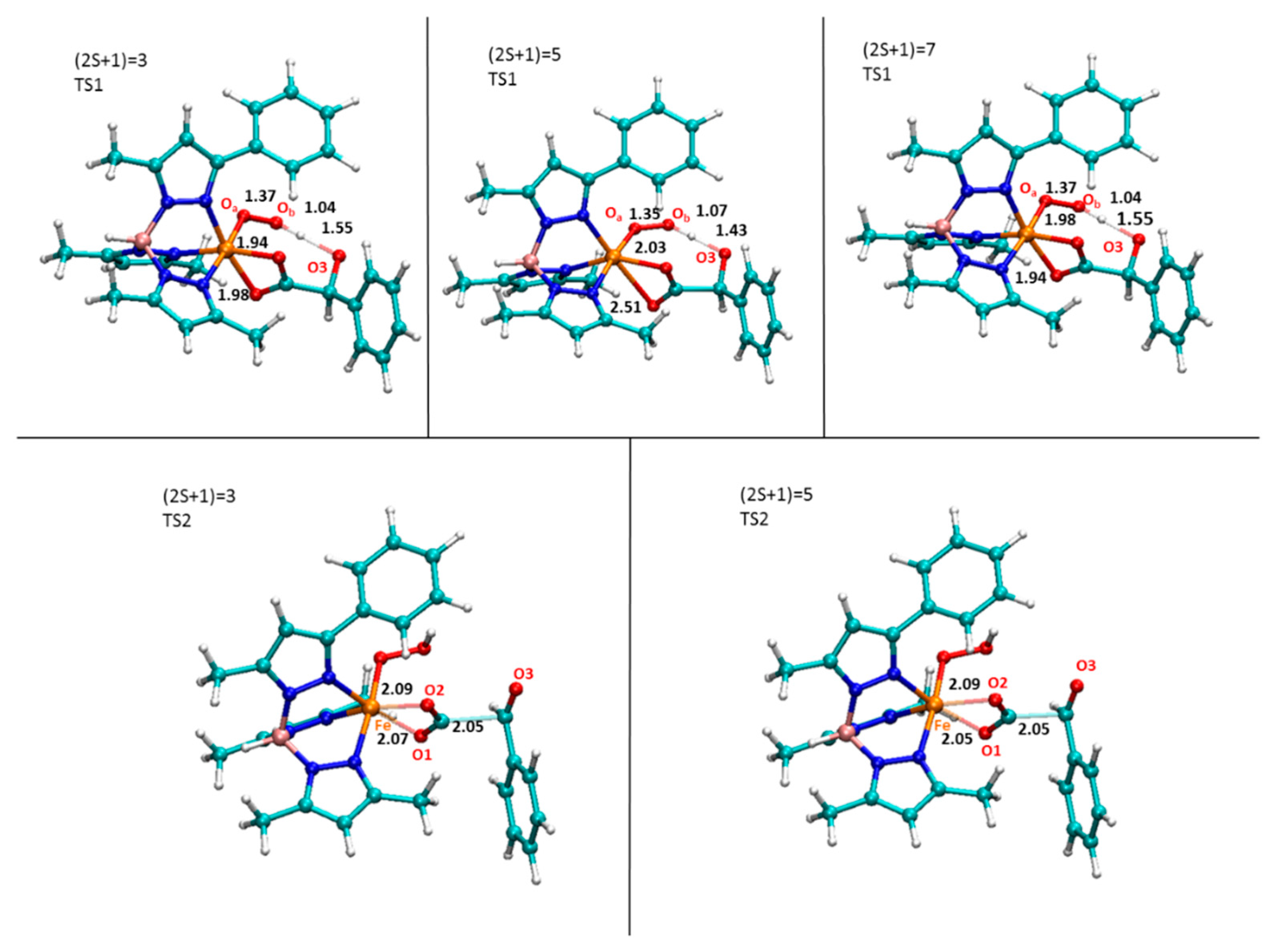 Molecules 25 00328 g005