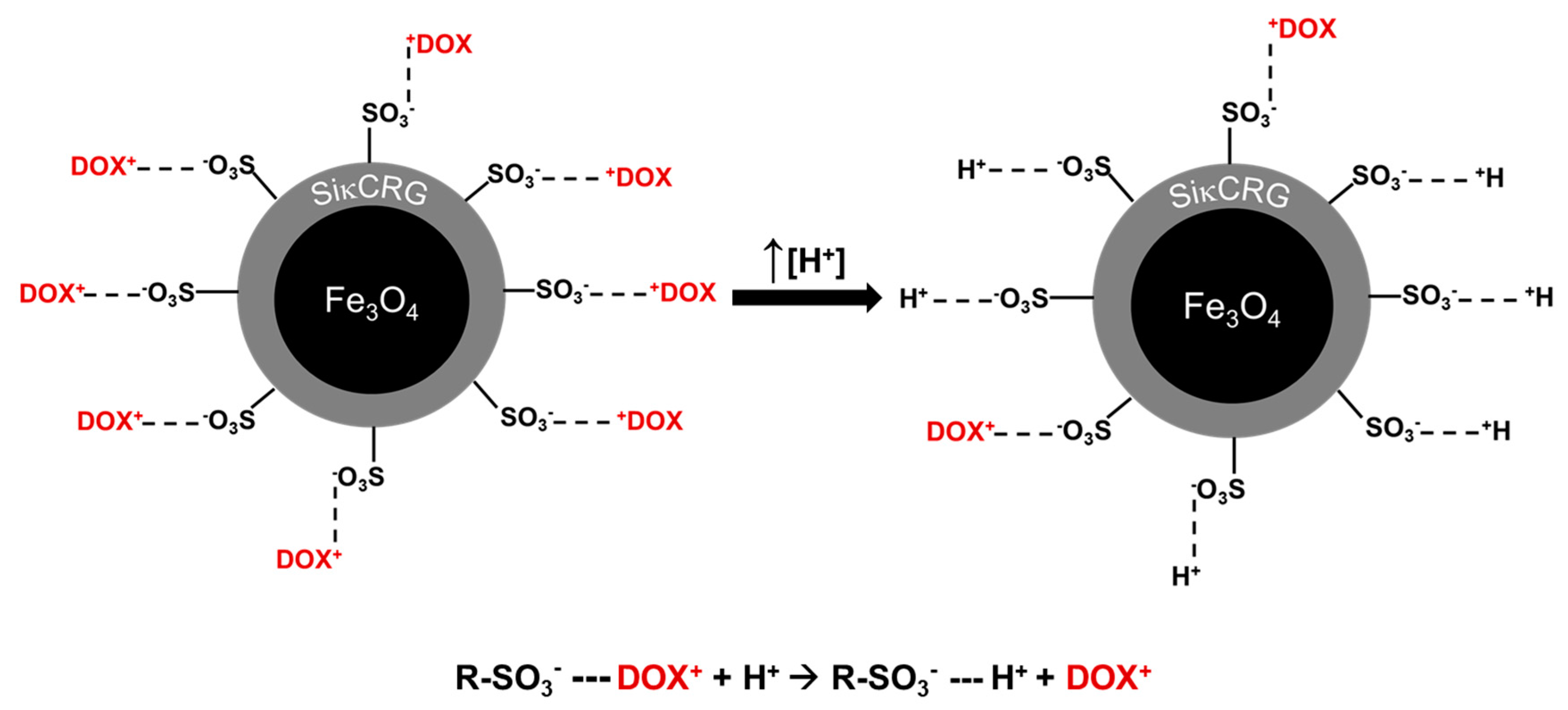 Molecules 25 00333 g007