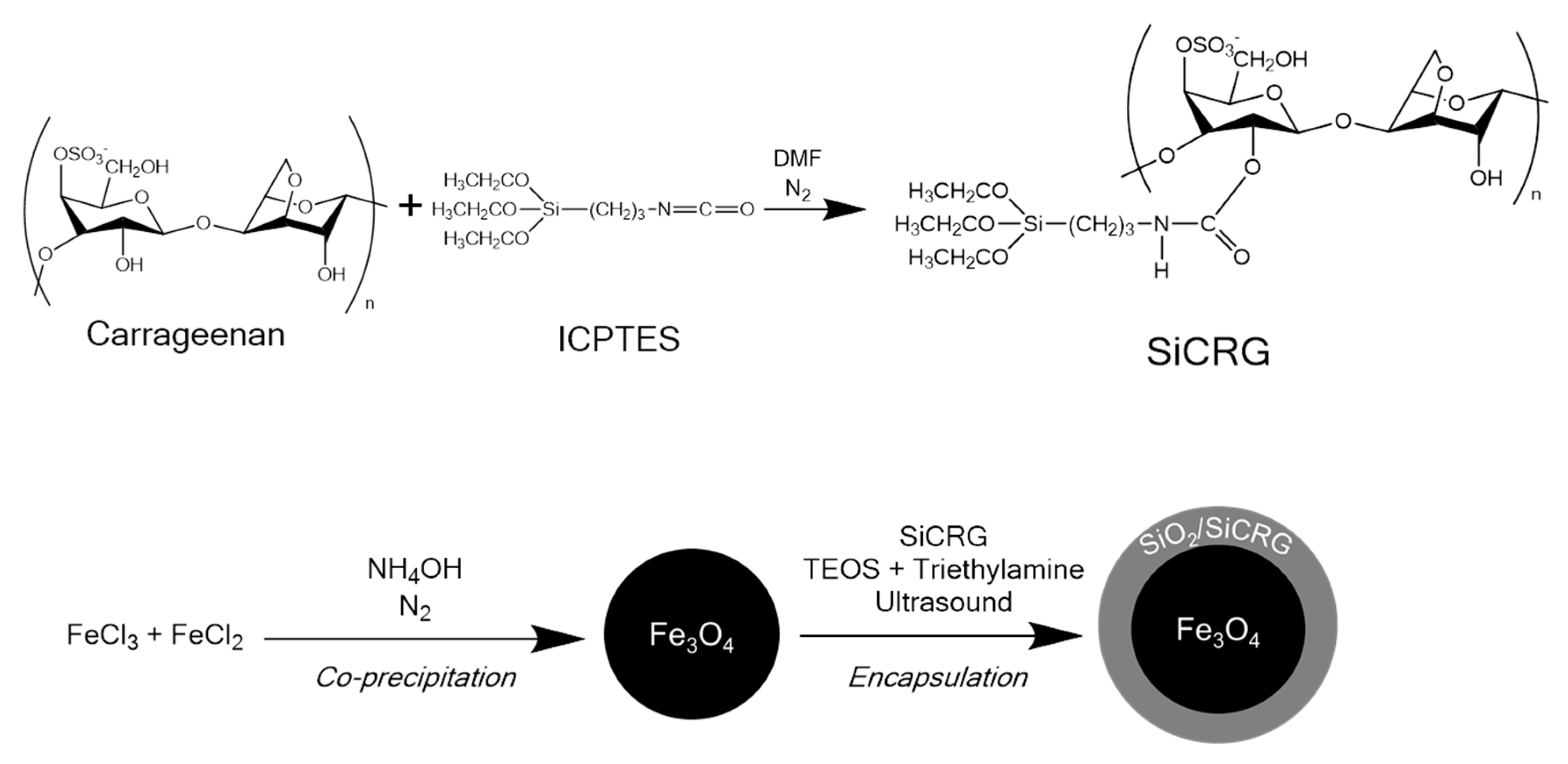 Molecules 25 00333 sch002