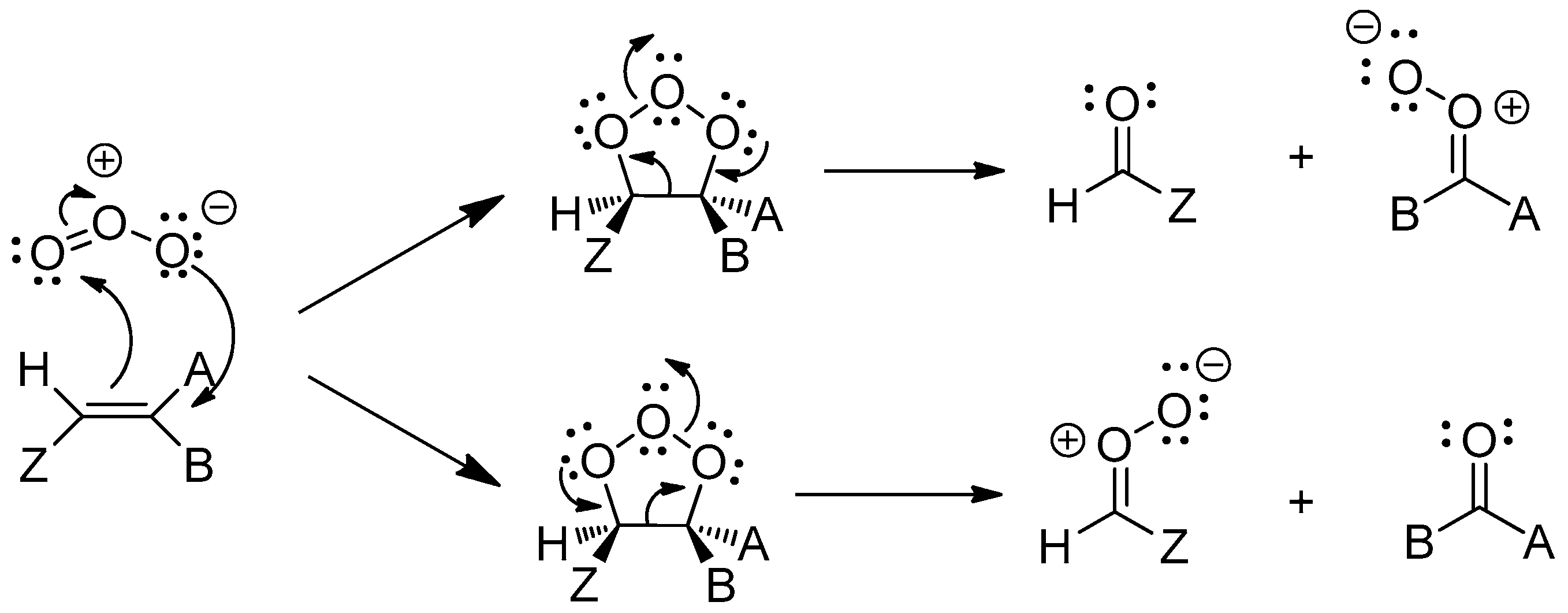 Molecules 25 00334 sch001