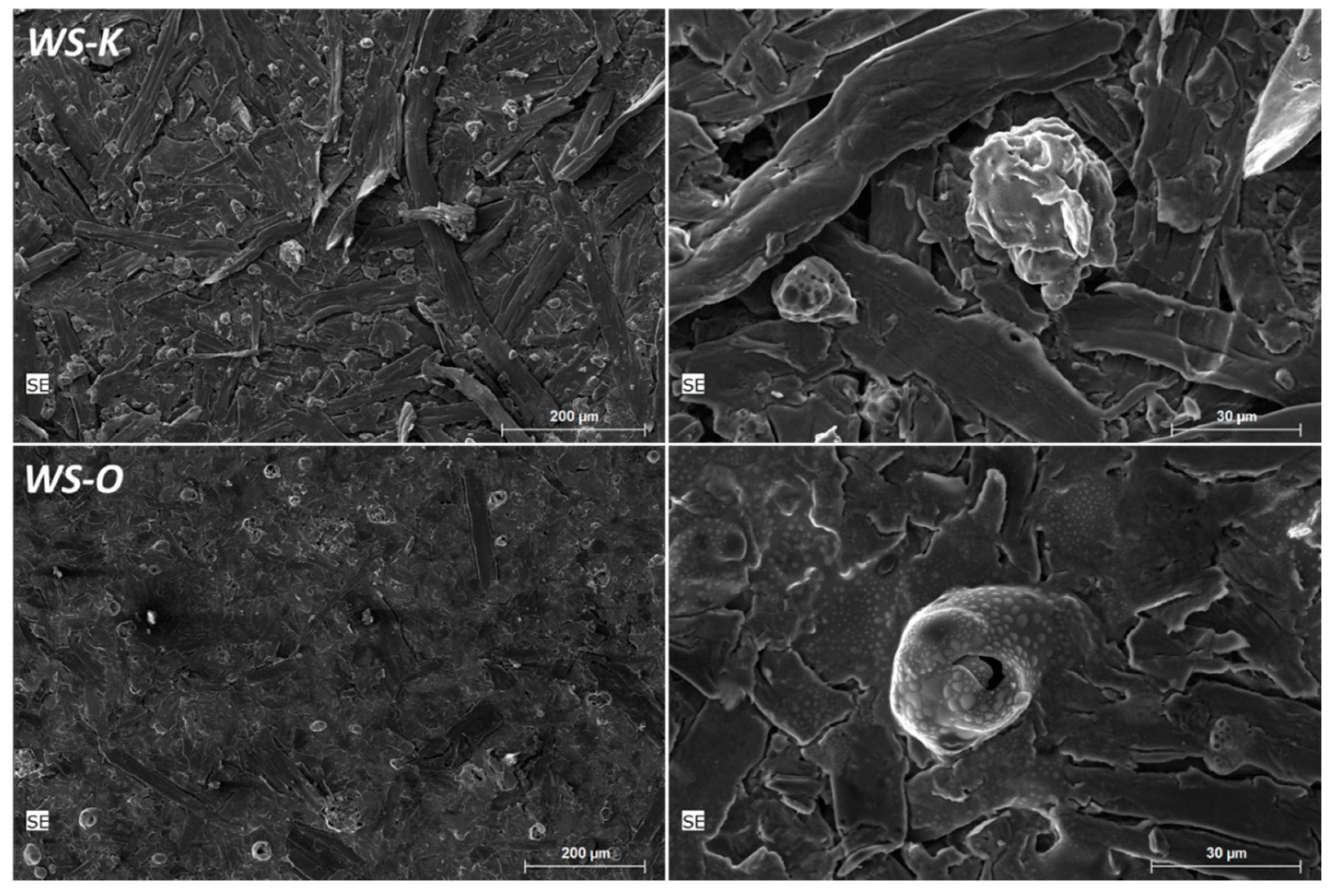 Molecules 25 00335 g005