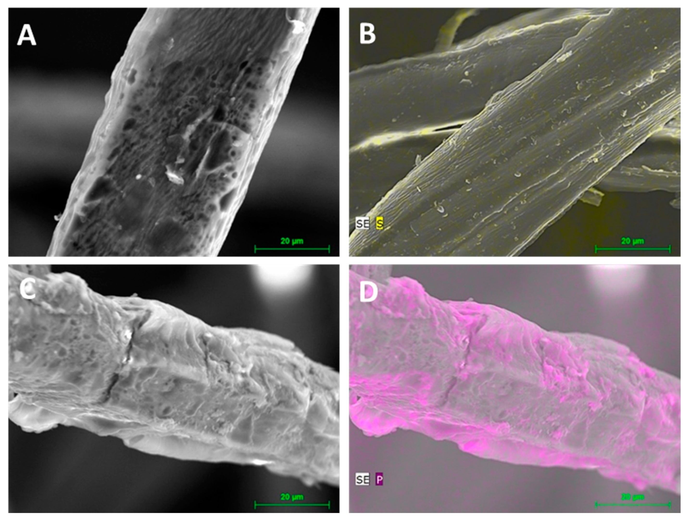 Molecules 25 00335 g010