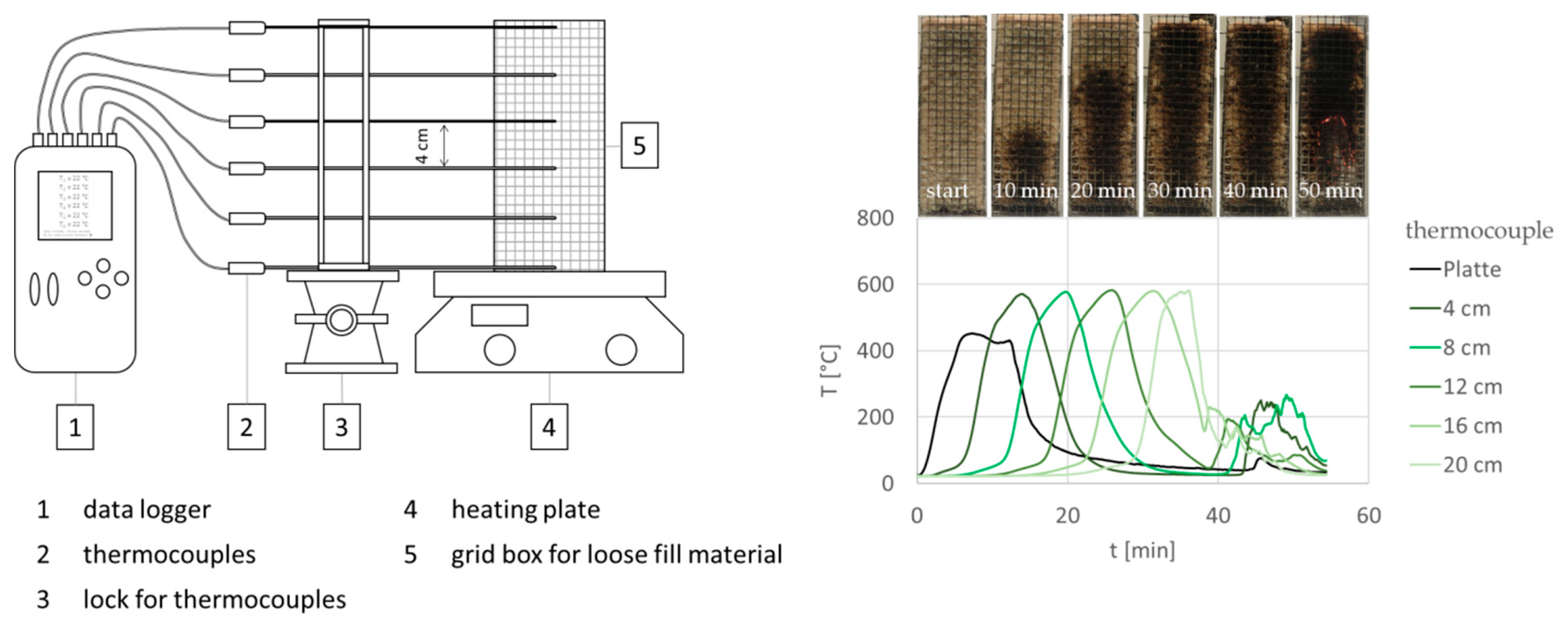 Molecules 25 00335 g012