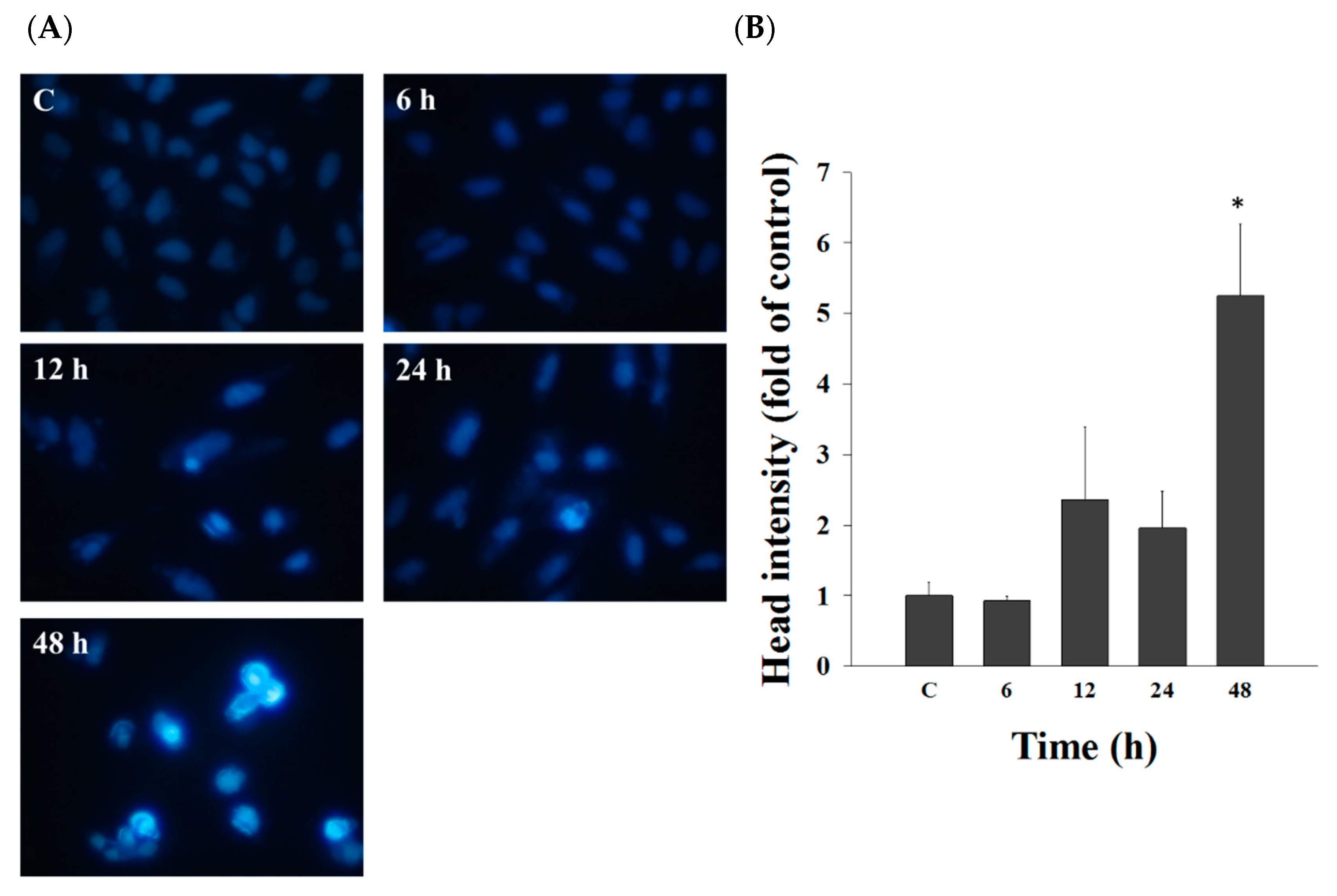 Molecules 25 00341 g002 Molecules 25 00341 g002