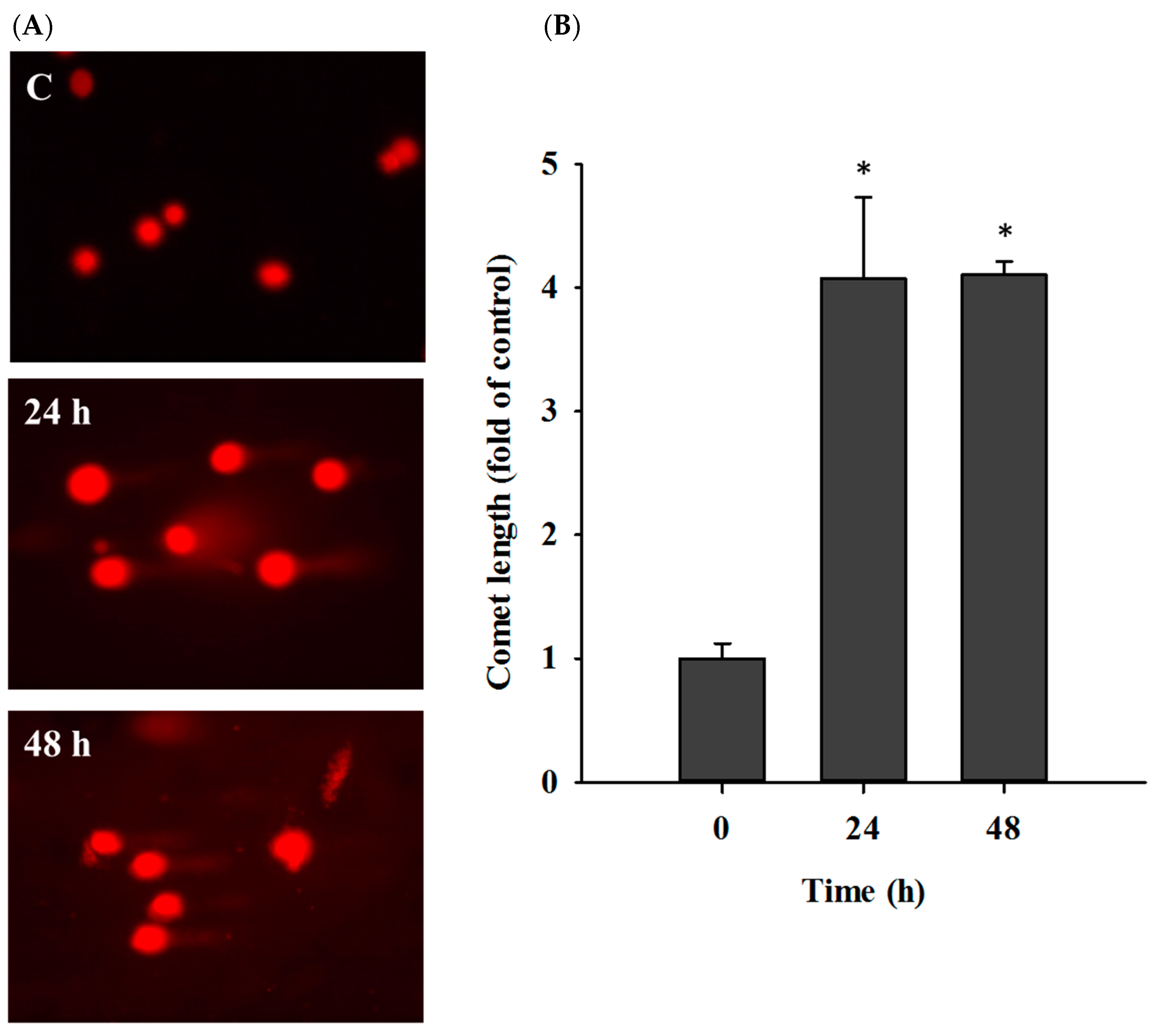 Molecules 25 00341 g003 Molecules 25 00341 g003