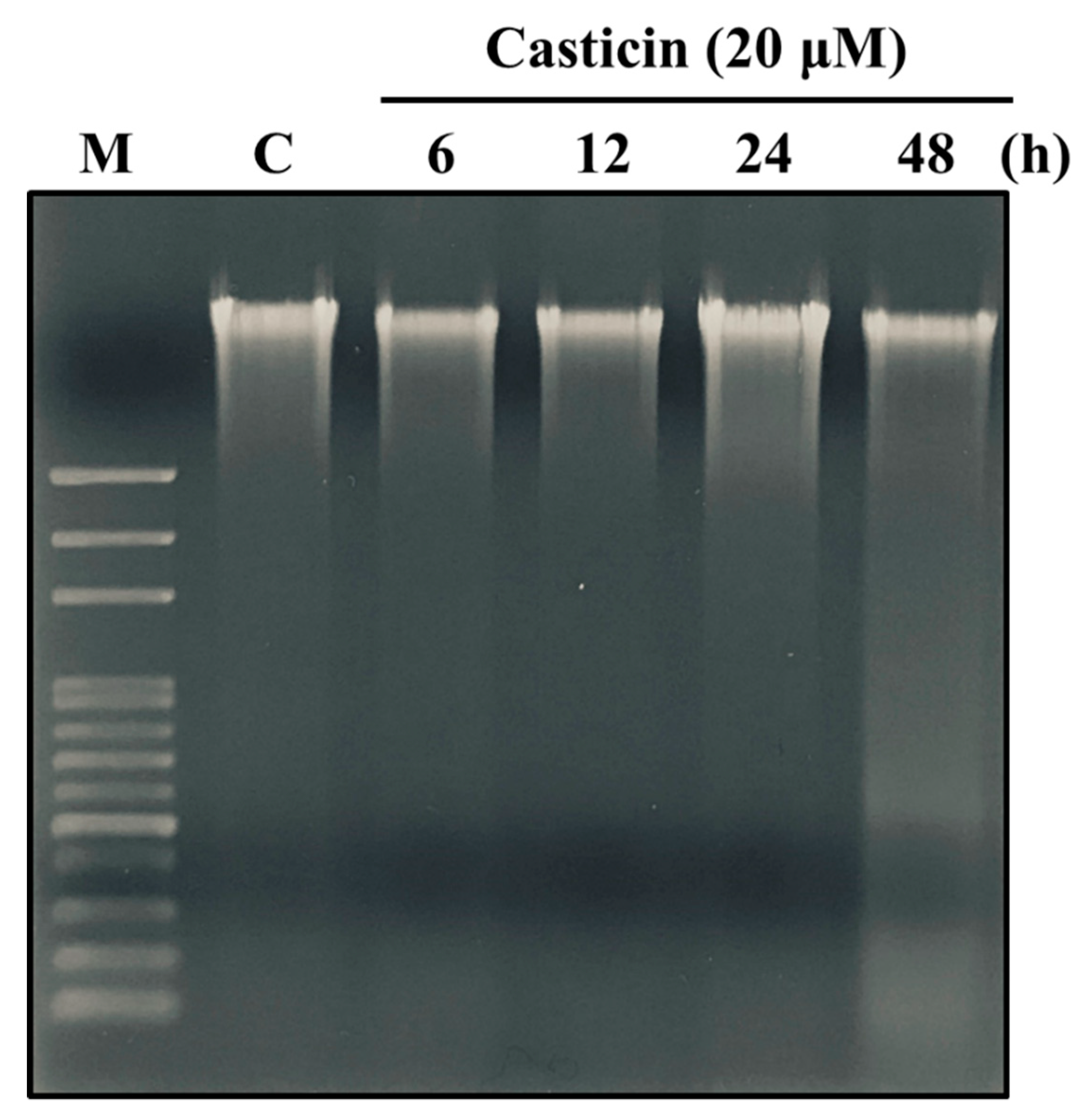 Molecules 25 00341 g004 Molecules 25 00341 g004