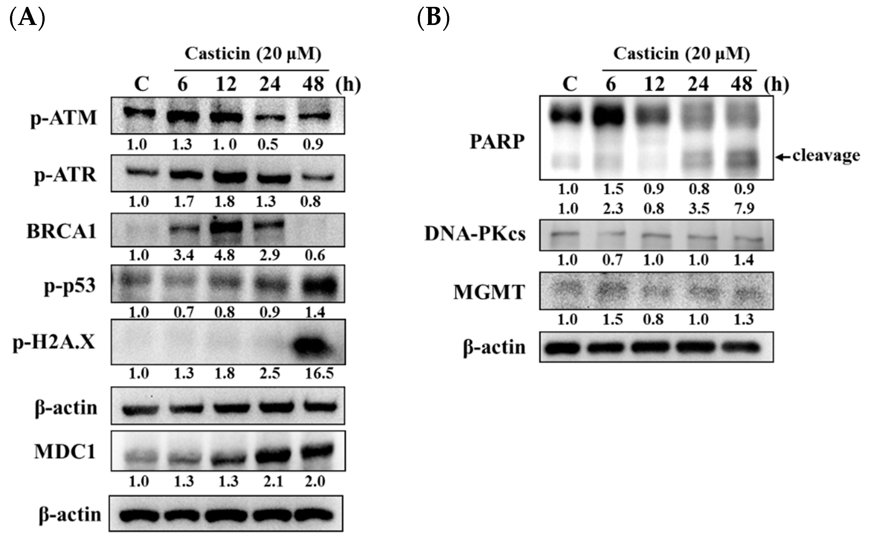 Molecules 25 00341 g005 Molecules 25 00341 g005