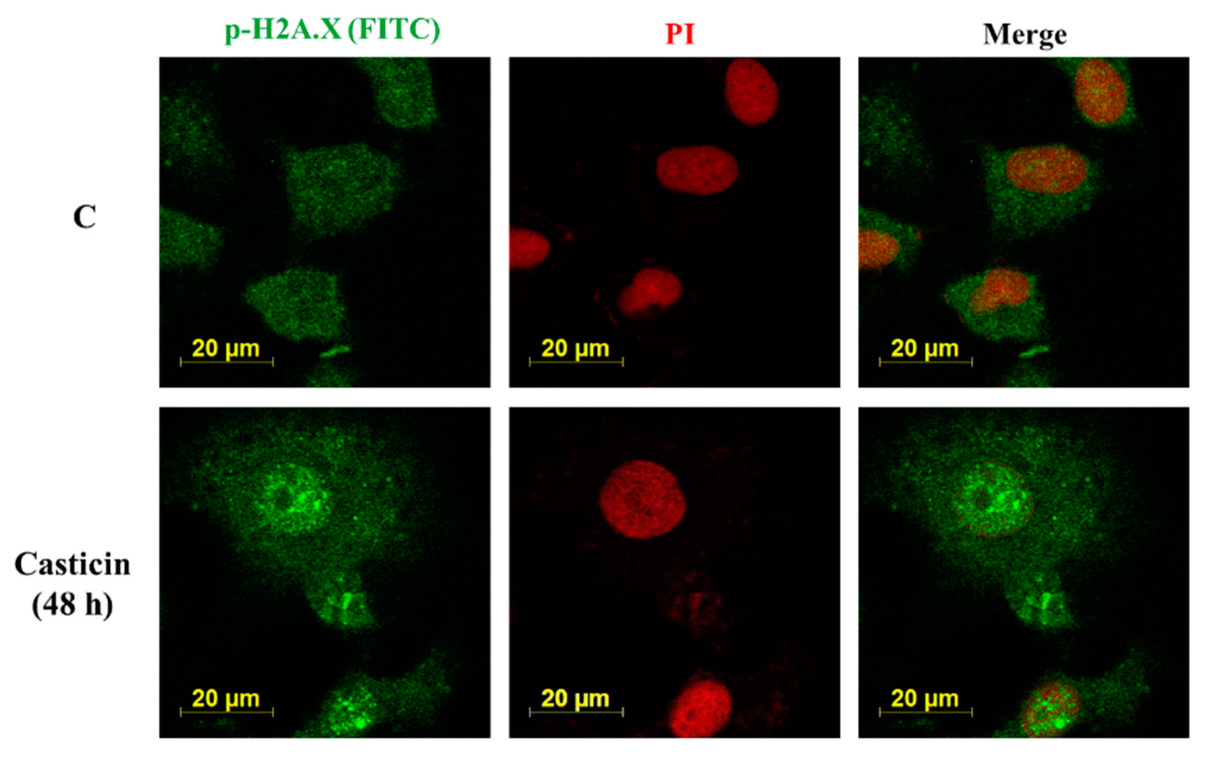 Molecules 25 00341 g006 Molecules 25 00341 g006