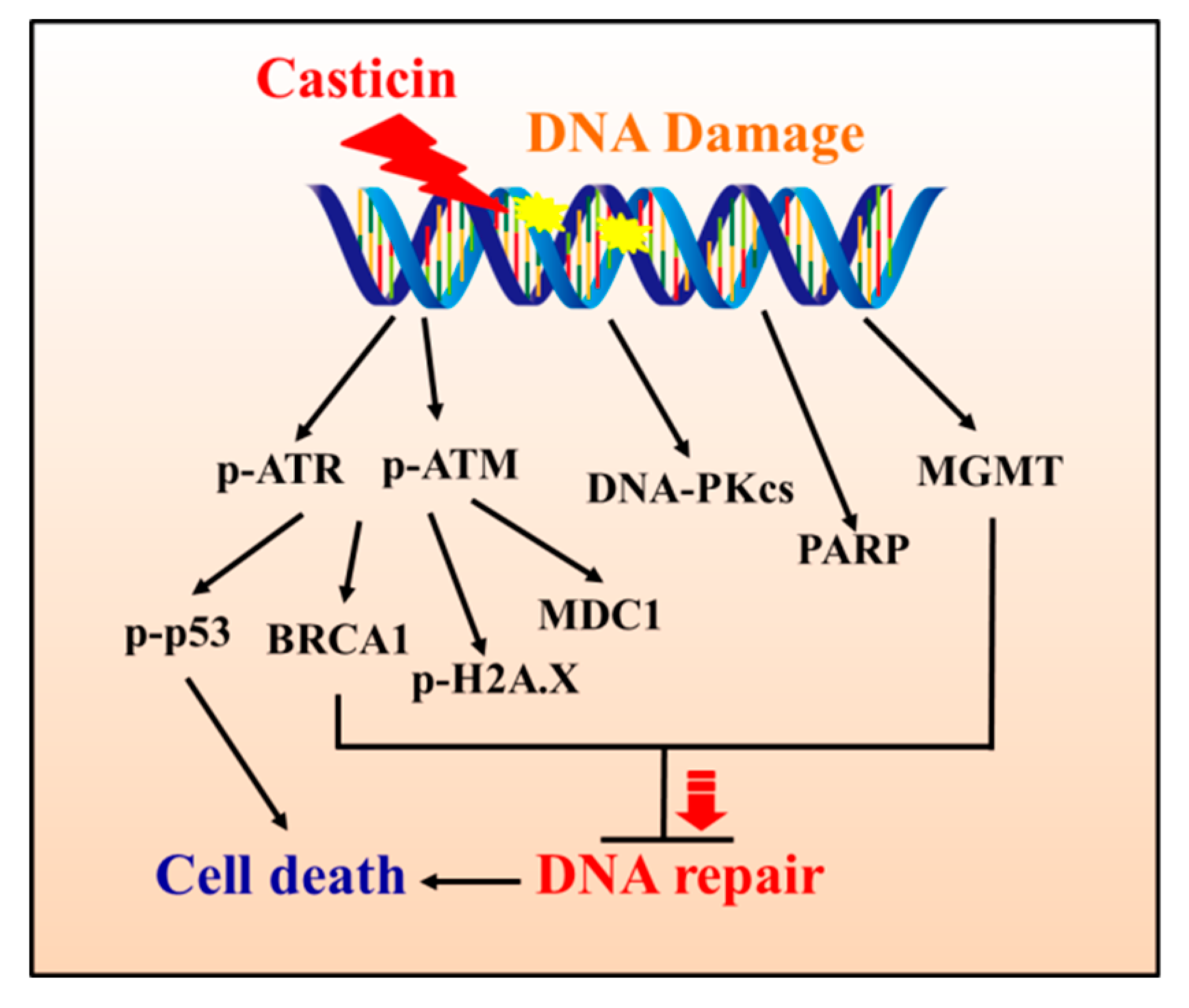 Molecules 25 00341 g007 Molecules 25 00341 g007