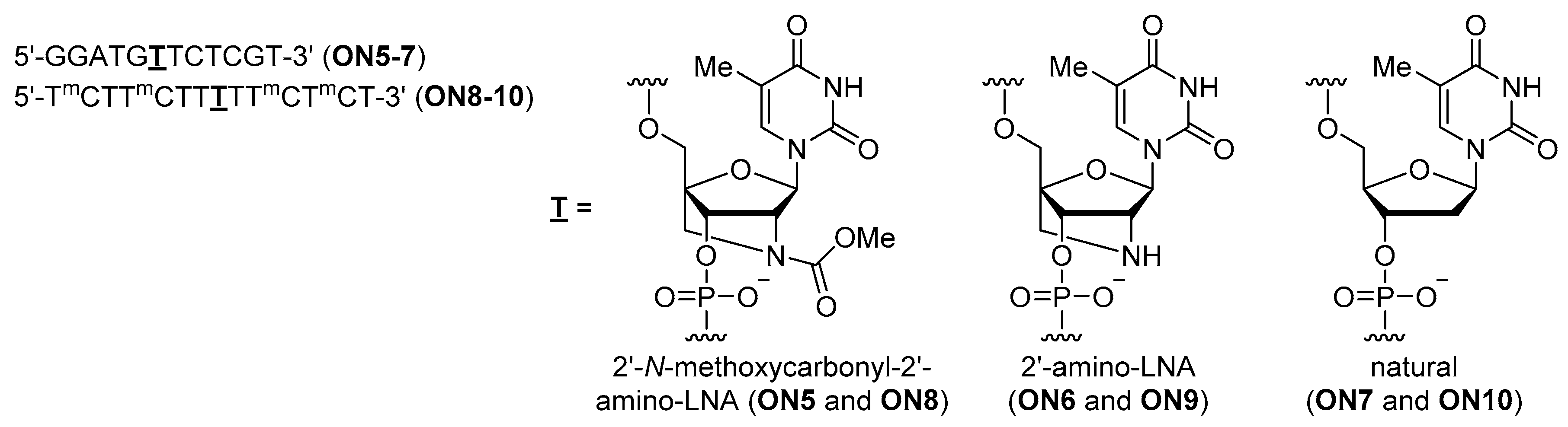 Molecules 25 00346 g003