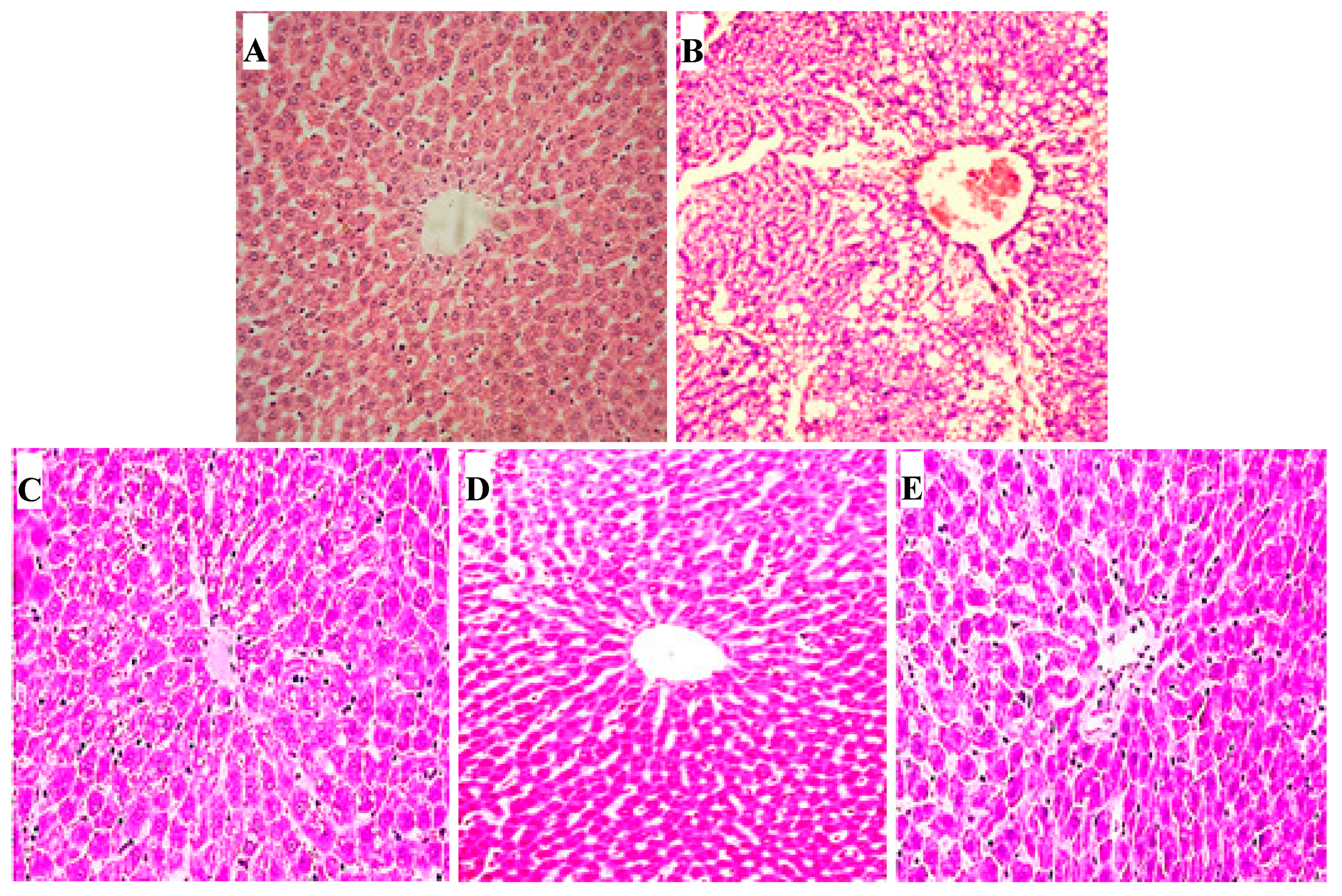 Molecules 25 00348 g008