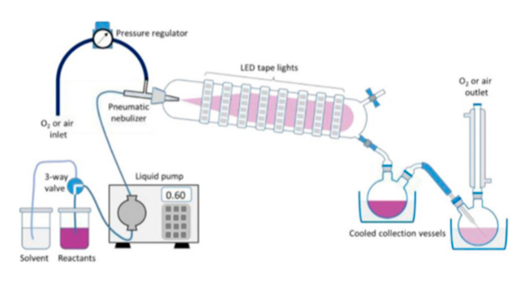 Molecules 25 00356 g002 Molecules 25 00356 g002
