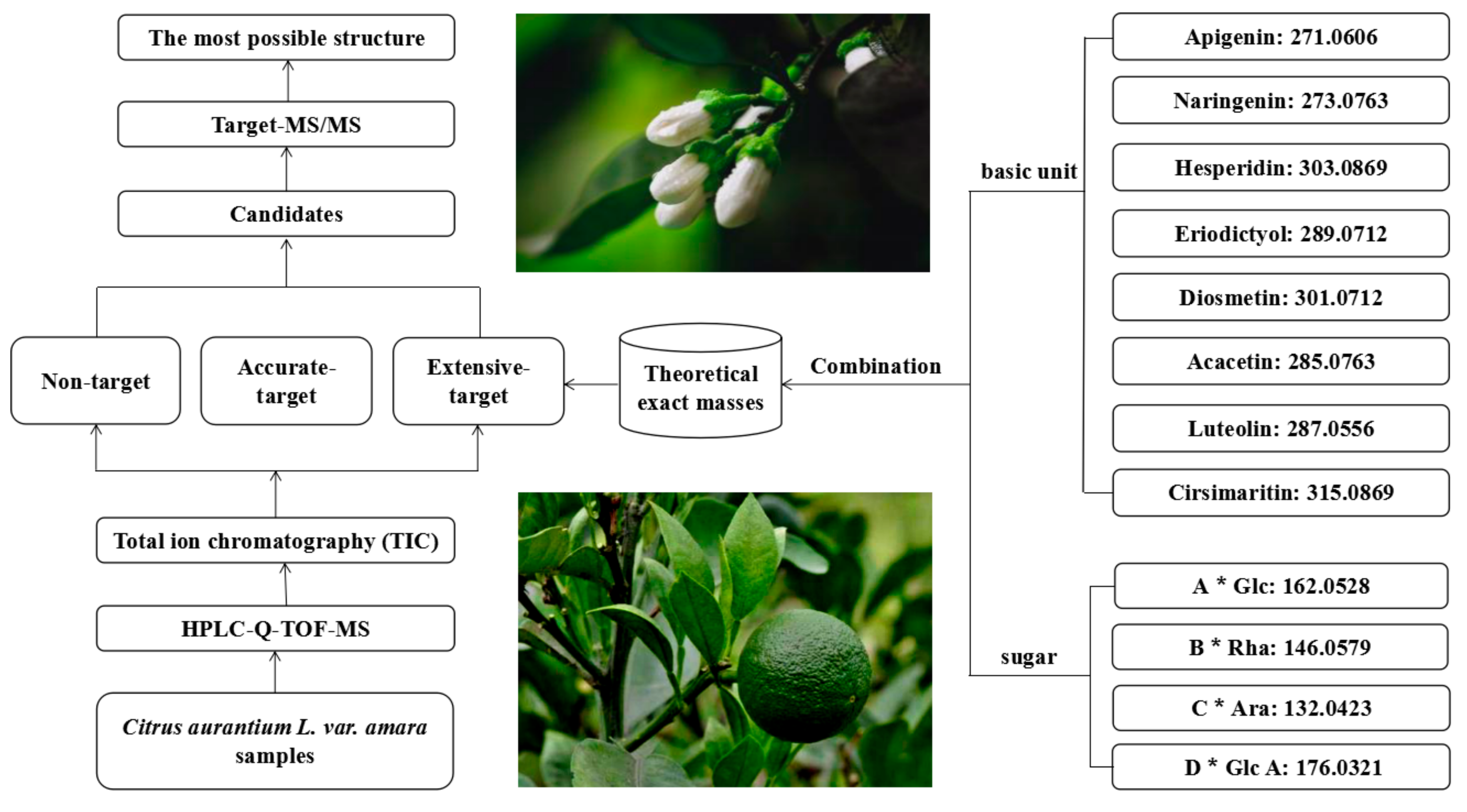 Molecules 25 00357 g001