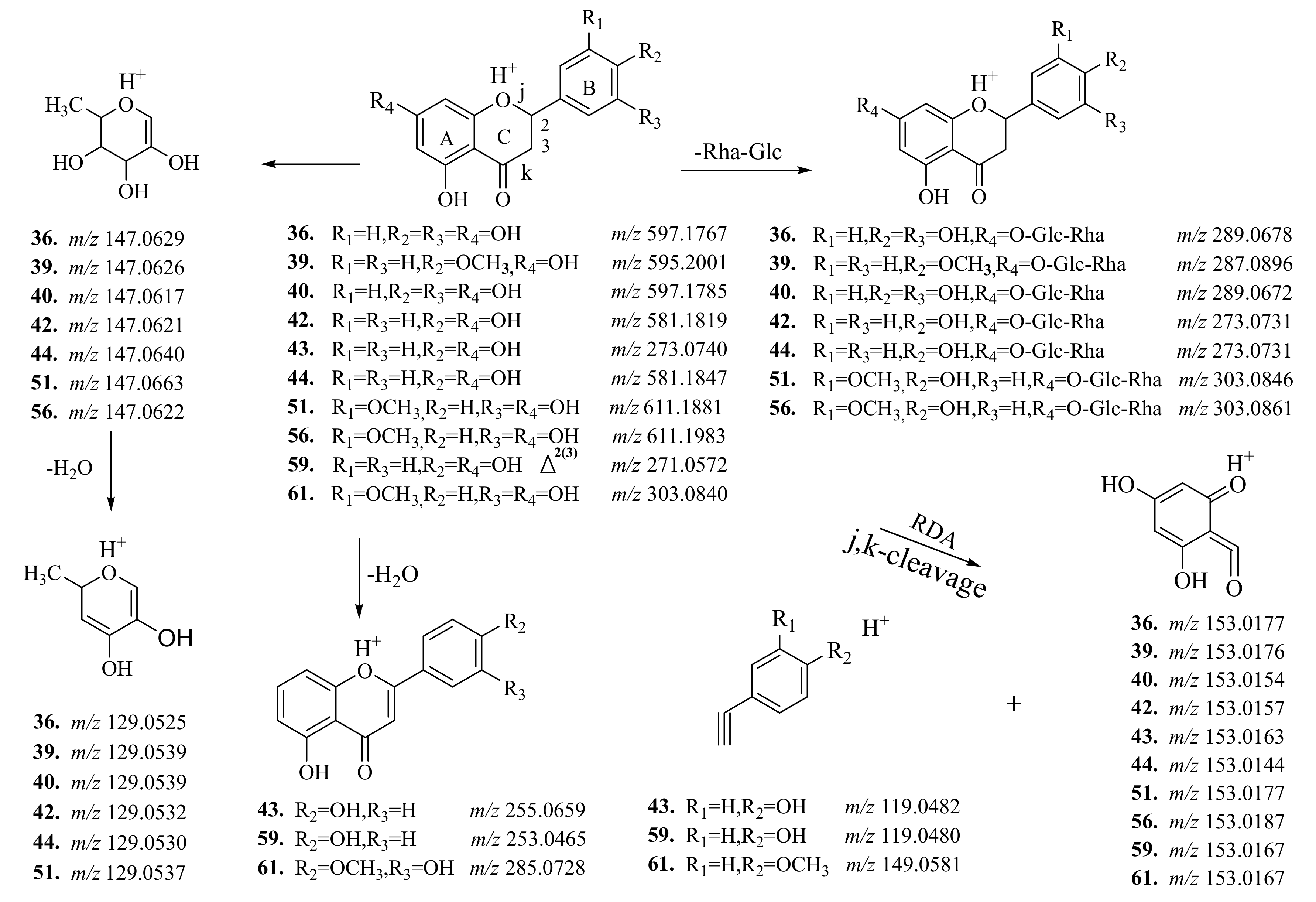 Molecules 25 00357 g002