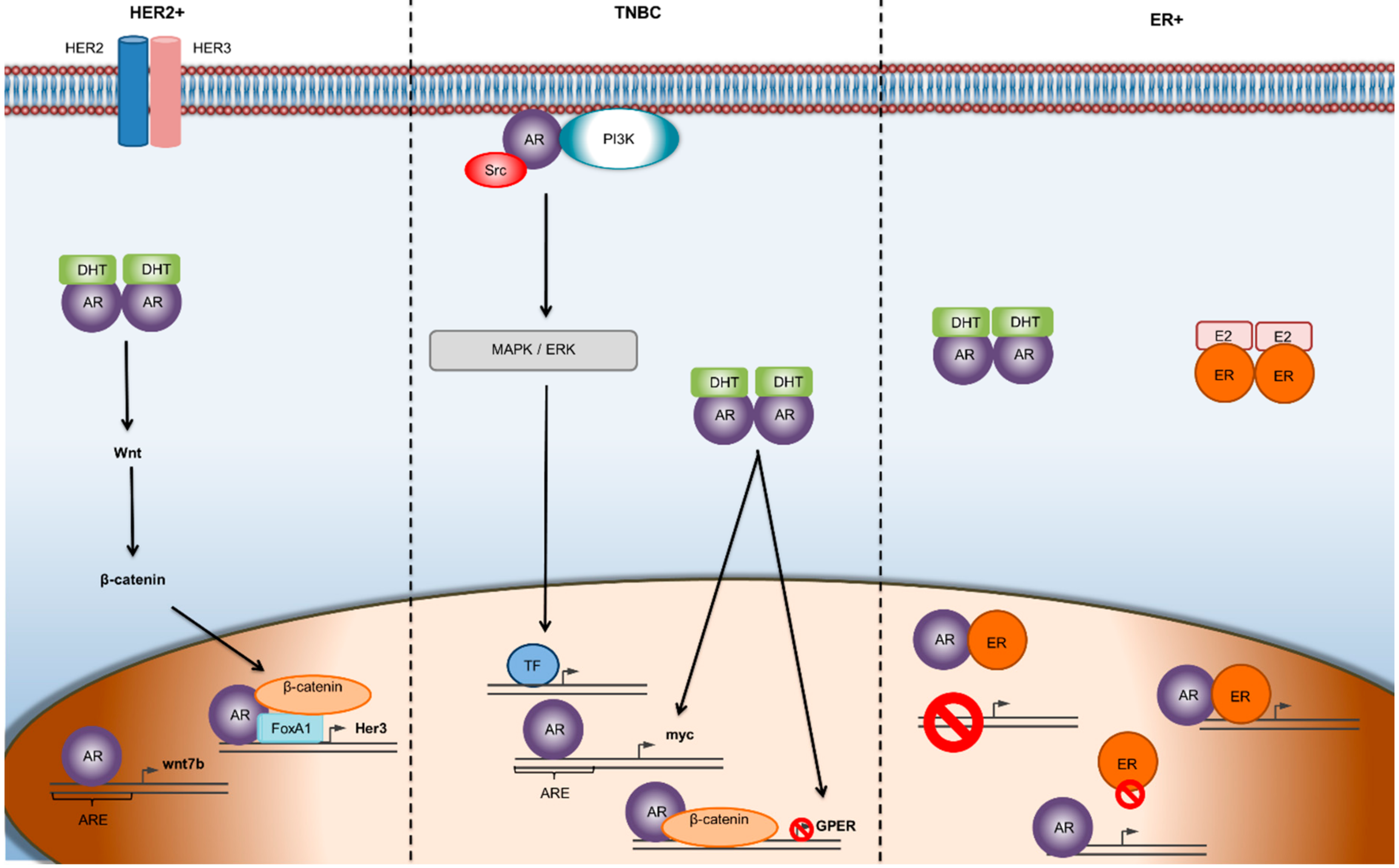 Molecules 25 00358 g001