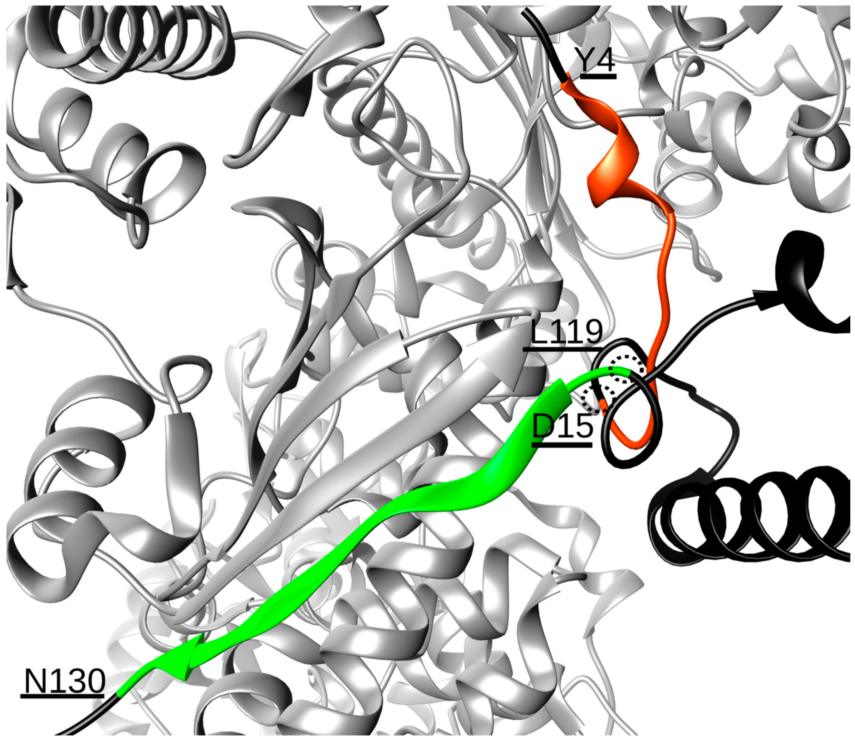 Molecules 25 00360 g001 Molecules 25 00360 g001
