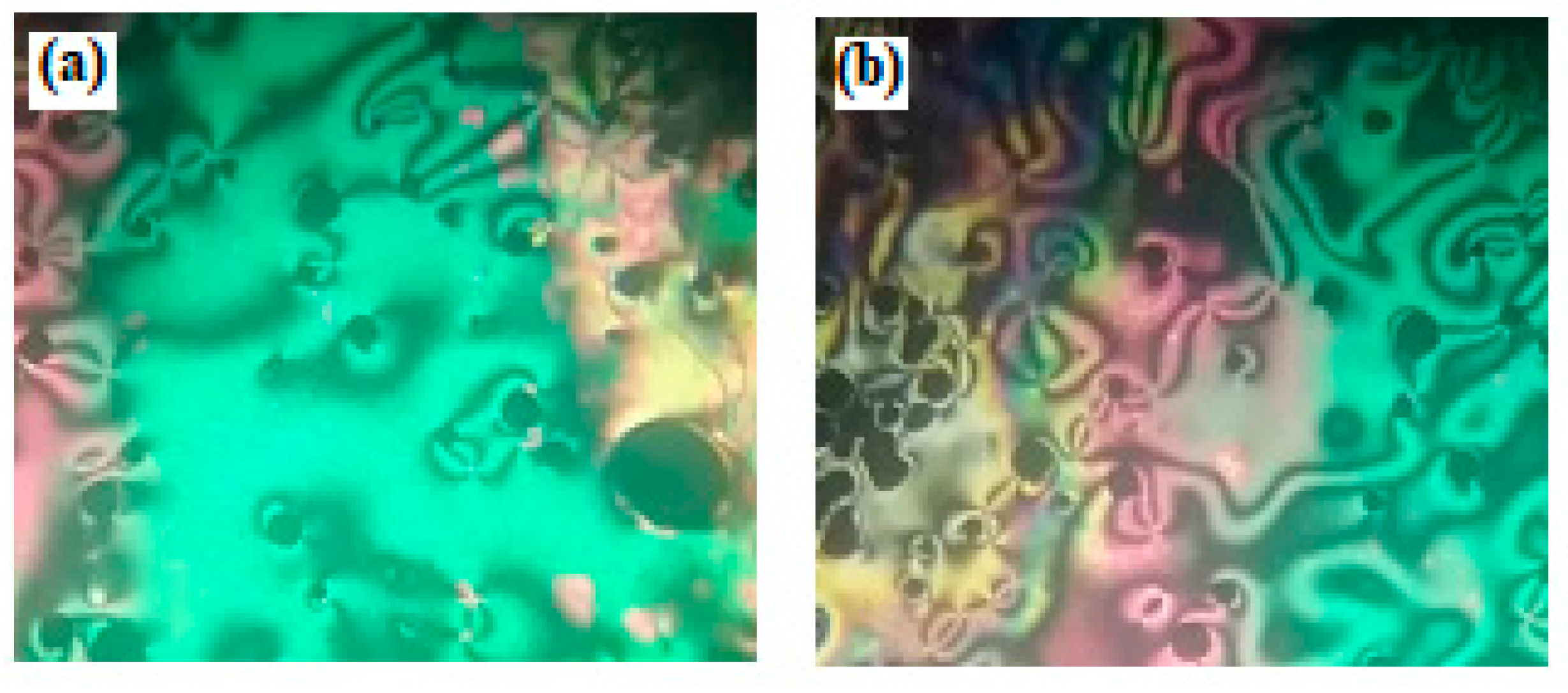 Molecules 25 00365 g004