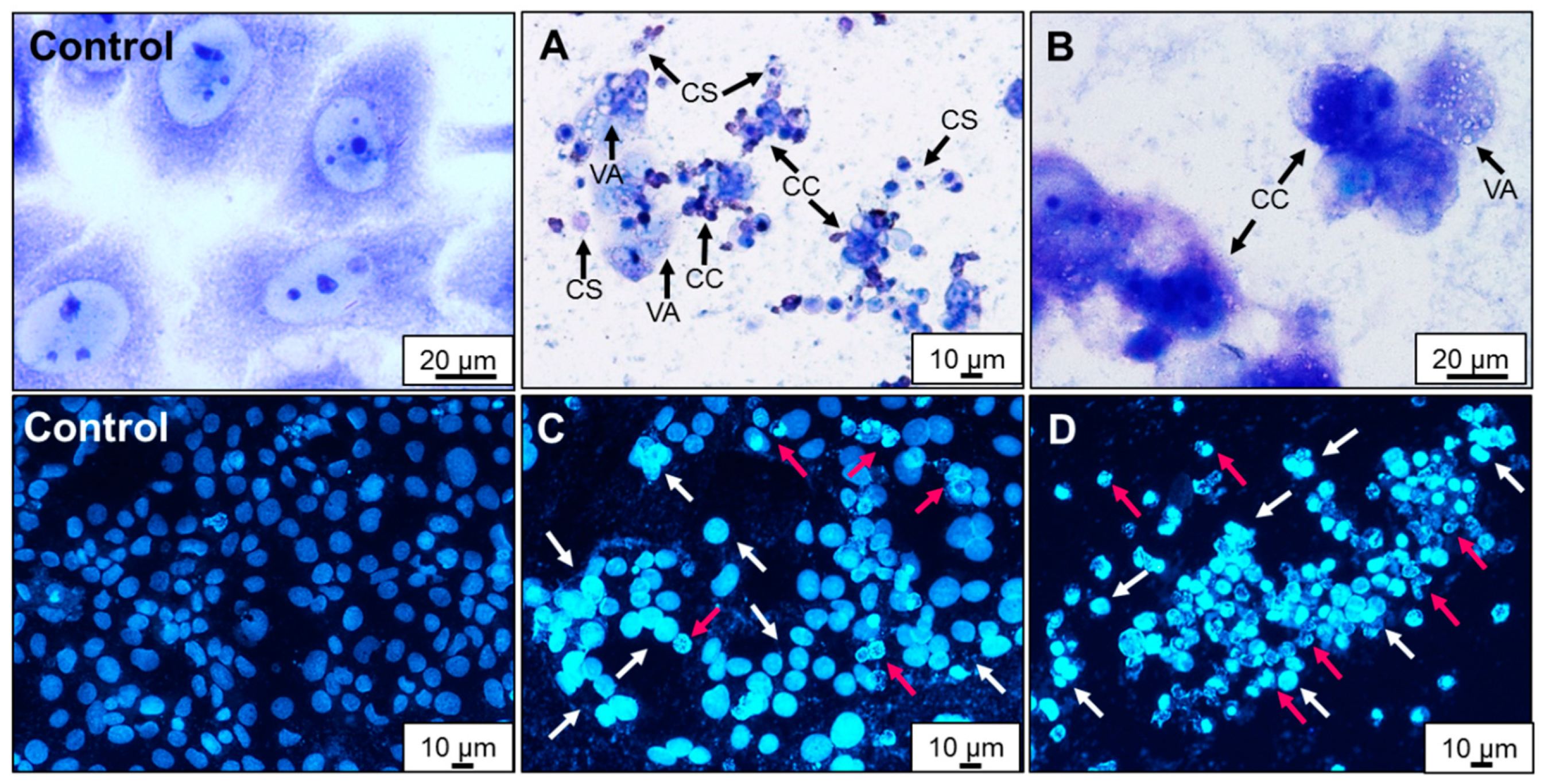 Molecules 25 00368 g007