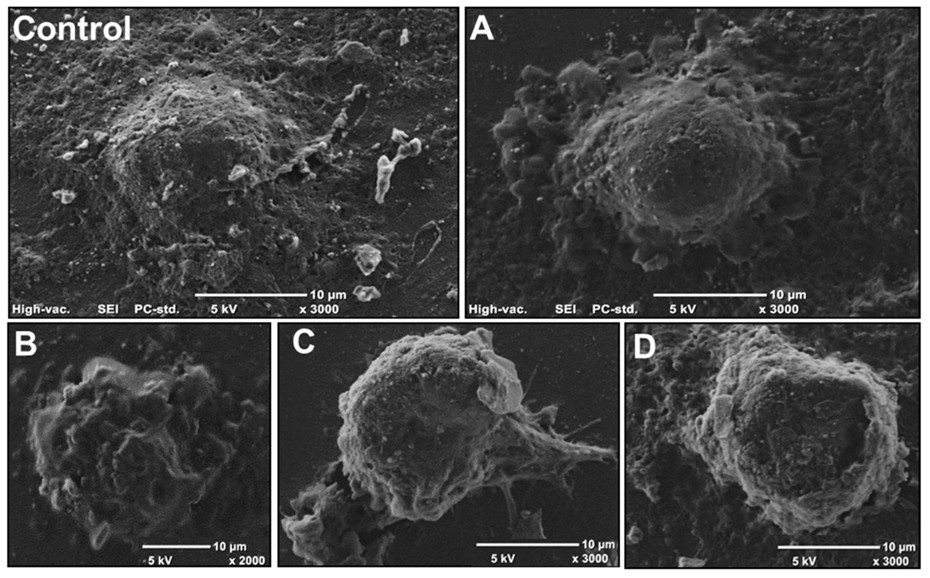 Molecules 25 00368 g009