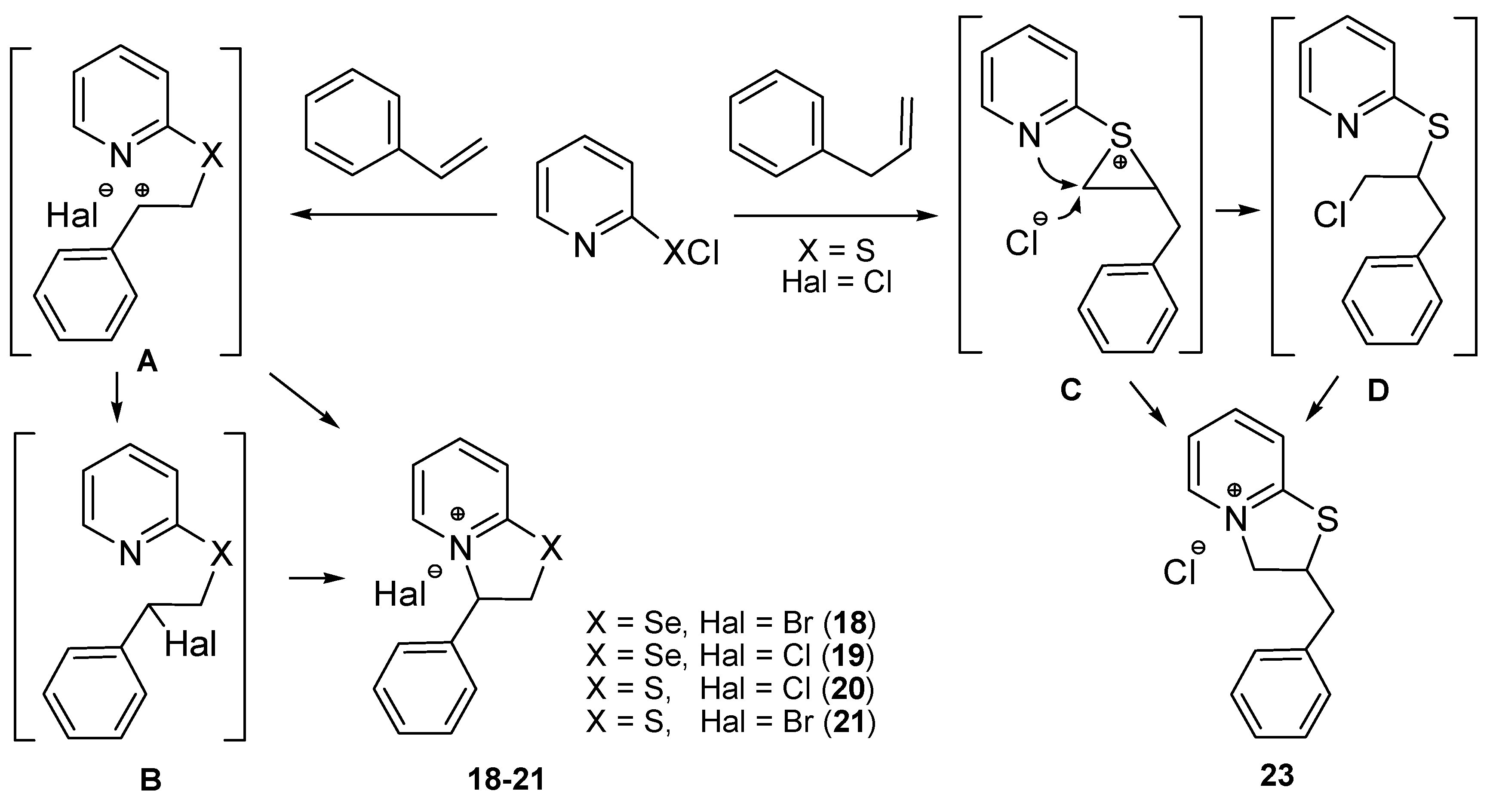 Molecules 25 00376 sch006