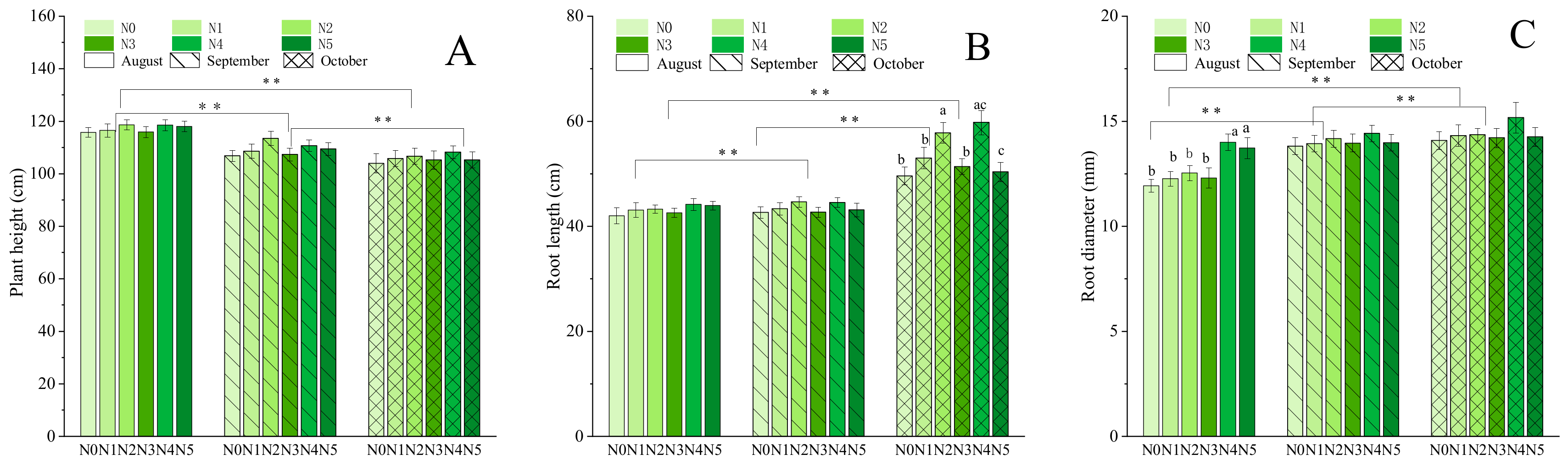 Molecules 25 00381 g001