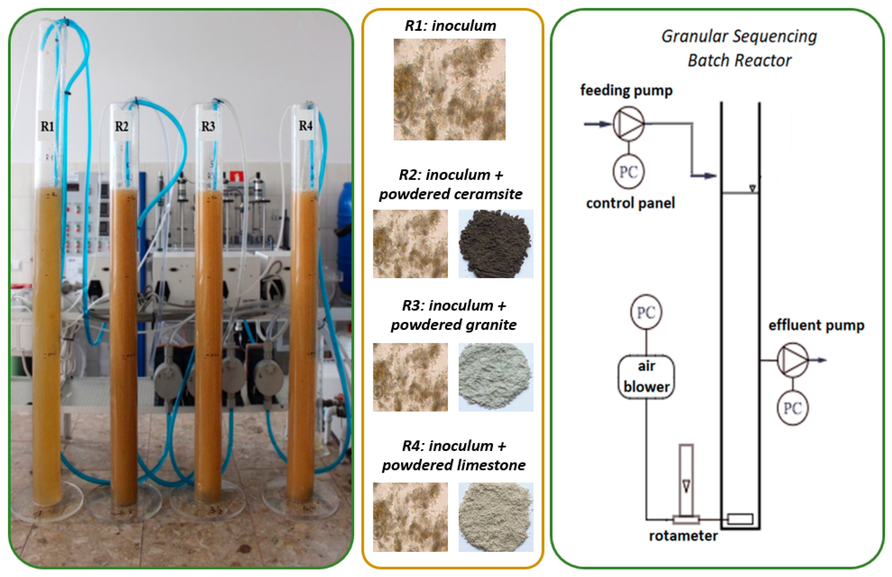 Molecules 25 00386 g006