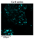 Molecules 25 00386 i001