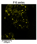 Molecules 25 00386 i002