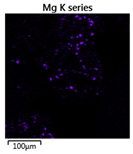 Molecules 25 00386 i003