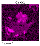 Molecules 25 00386 i006