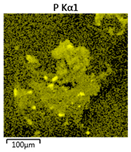 Molecules 25 00386 i007