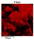 Molecules 25 00386 i010