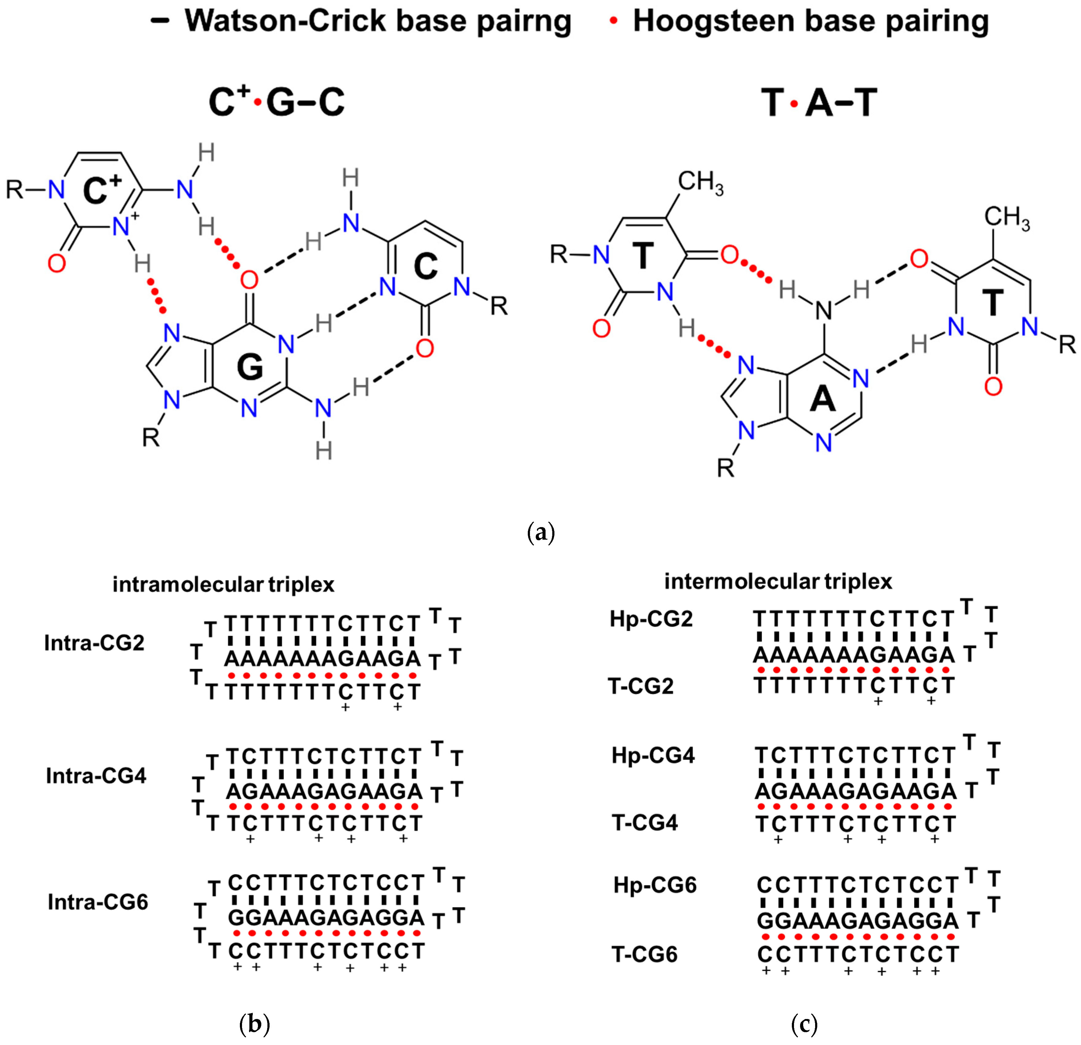 Molecules 25 00387 g001